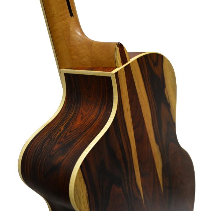 Dowina Cocobolo GA, Acoustic Guitar for sale at Richards Guitars.