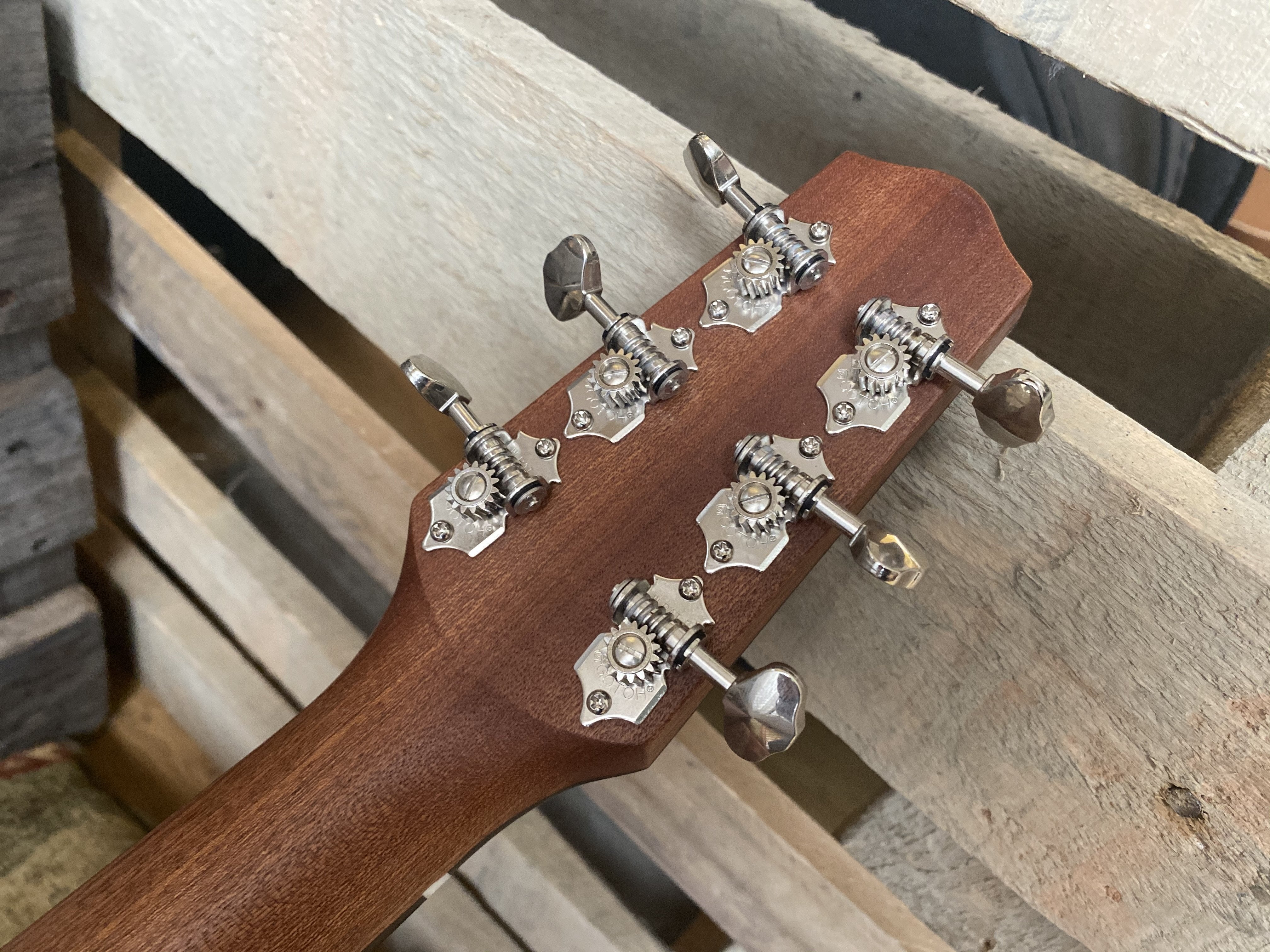 Dowina Walnut BV S, Acoustic Guitar for sale at Richards Guitars.