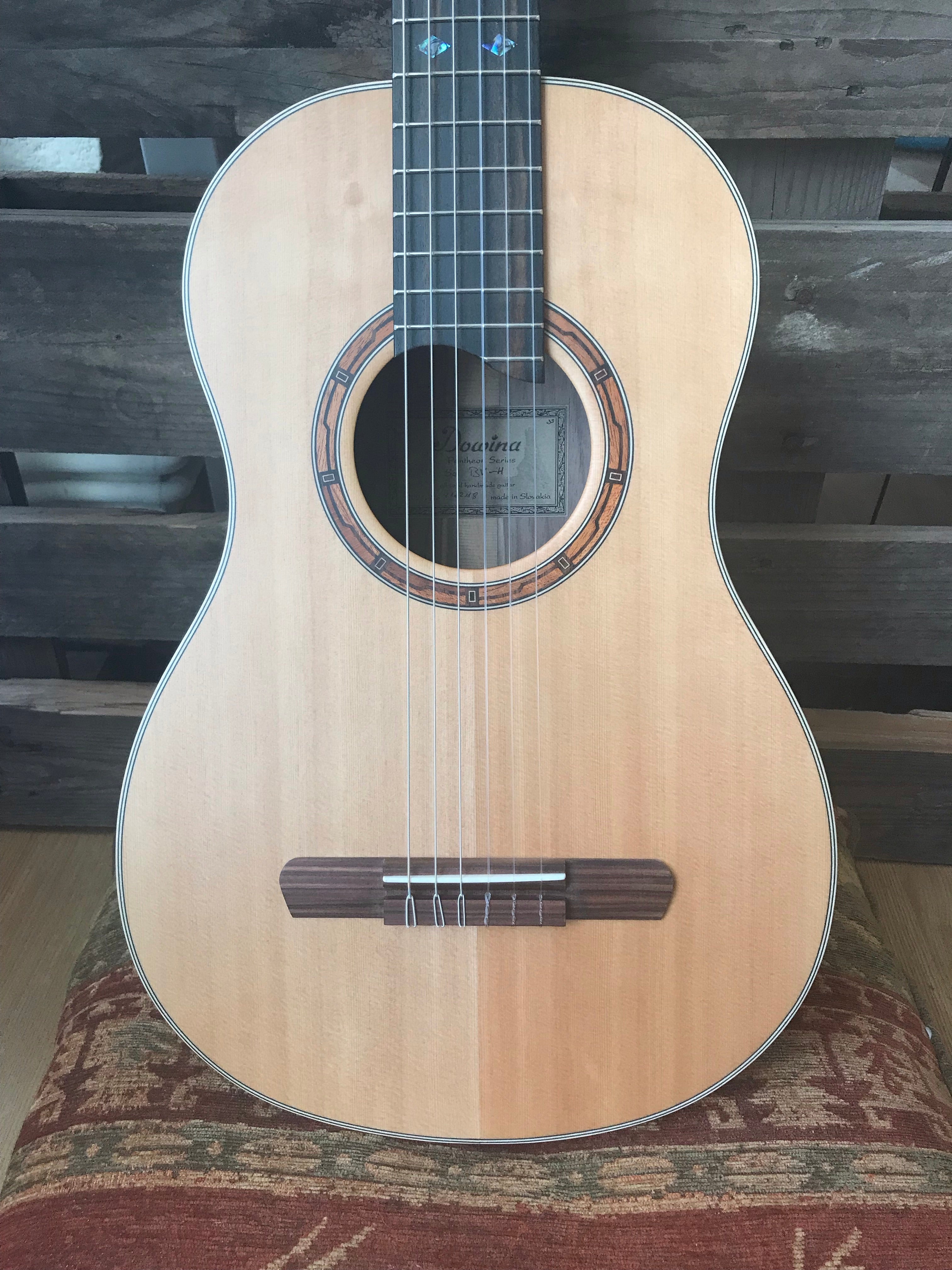 Dowina Walnut (Sol) BVH, Nylon Strung Guitar for sale at Richards Guitars.