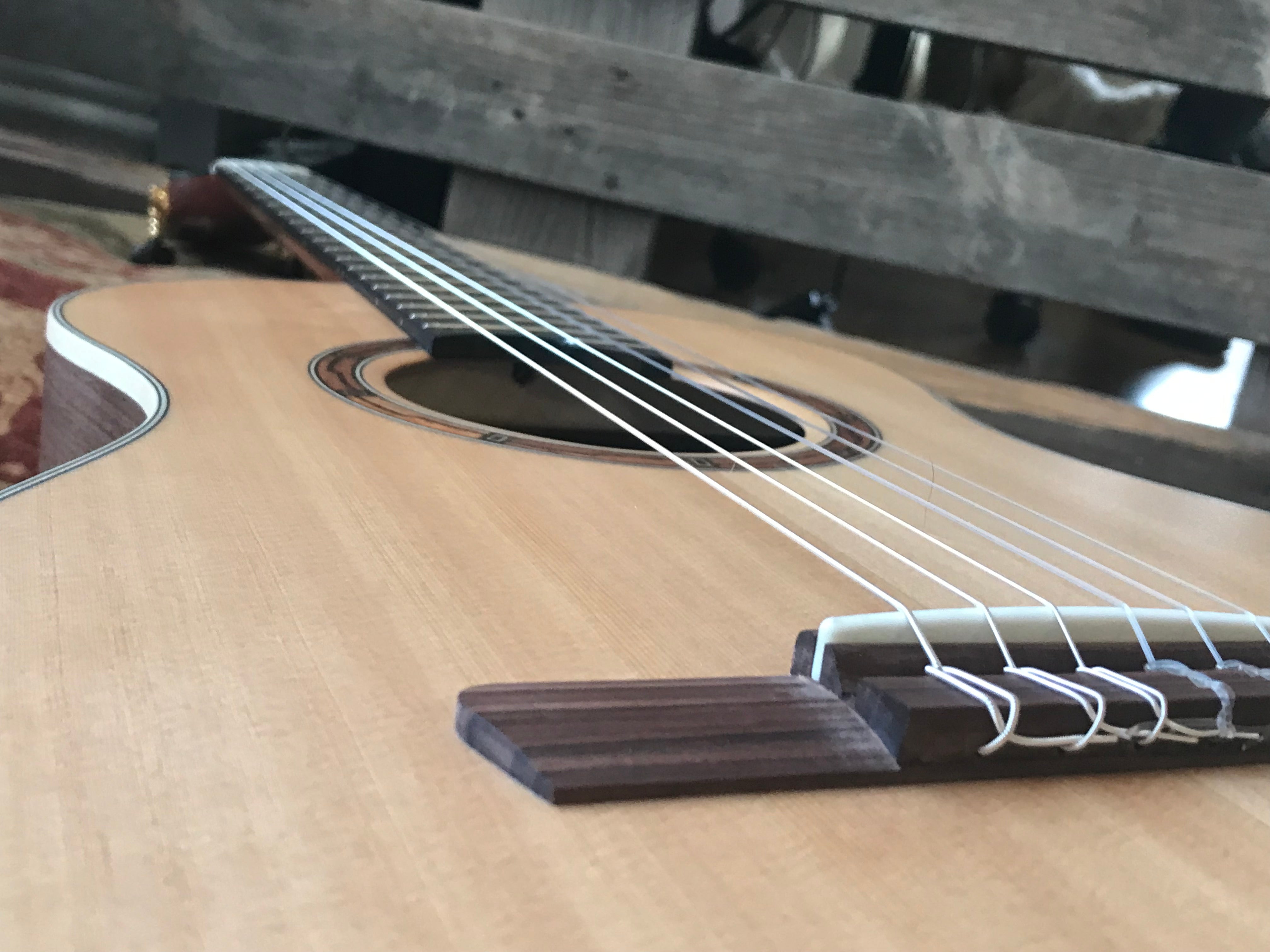 Dowina Walnut (Sol) BVH, Nylon Strung Guitar for sale at Richards Guitars.