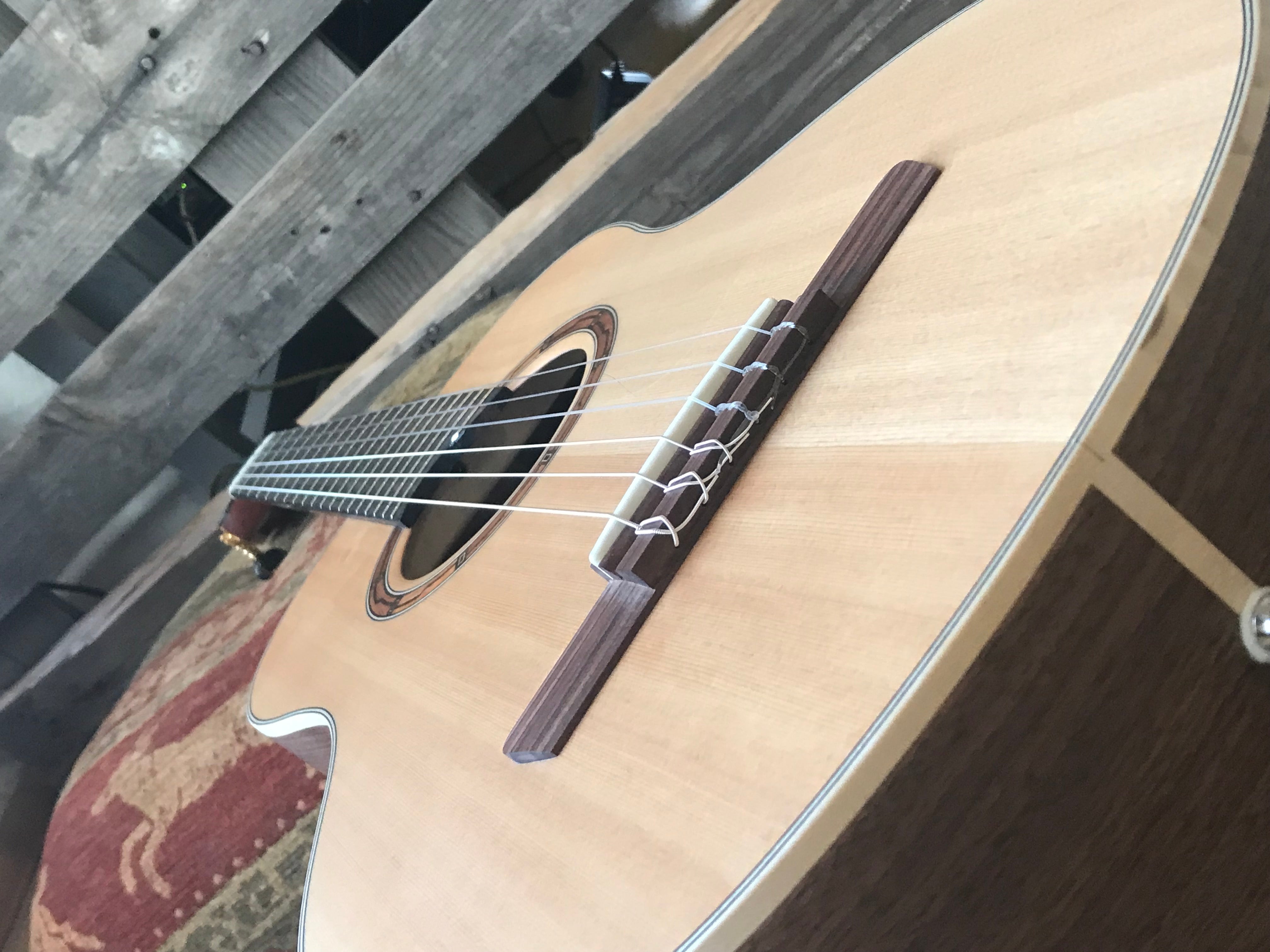 Dowina Walnut (Sol) BVH, Nylon Strung Guitar for sale at Richards Guitars.