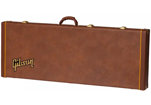 AGA ASEXPCASE - ORG - Richards Guitars Of Stratford Upon Avon