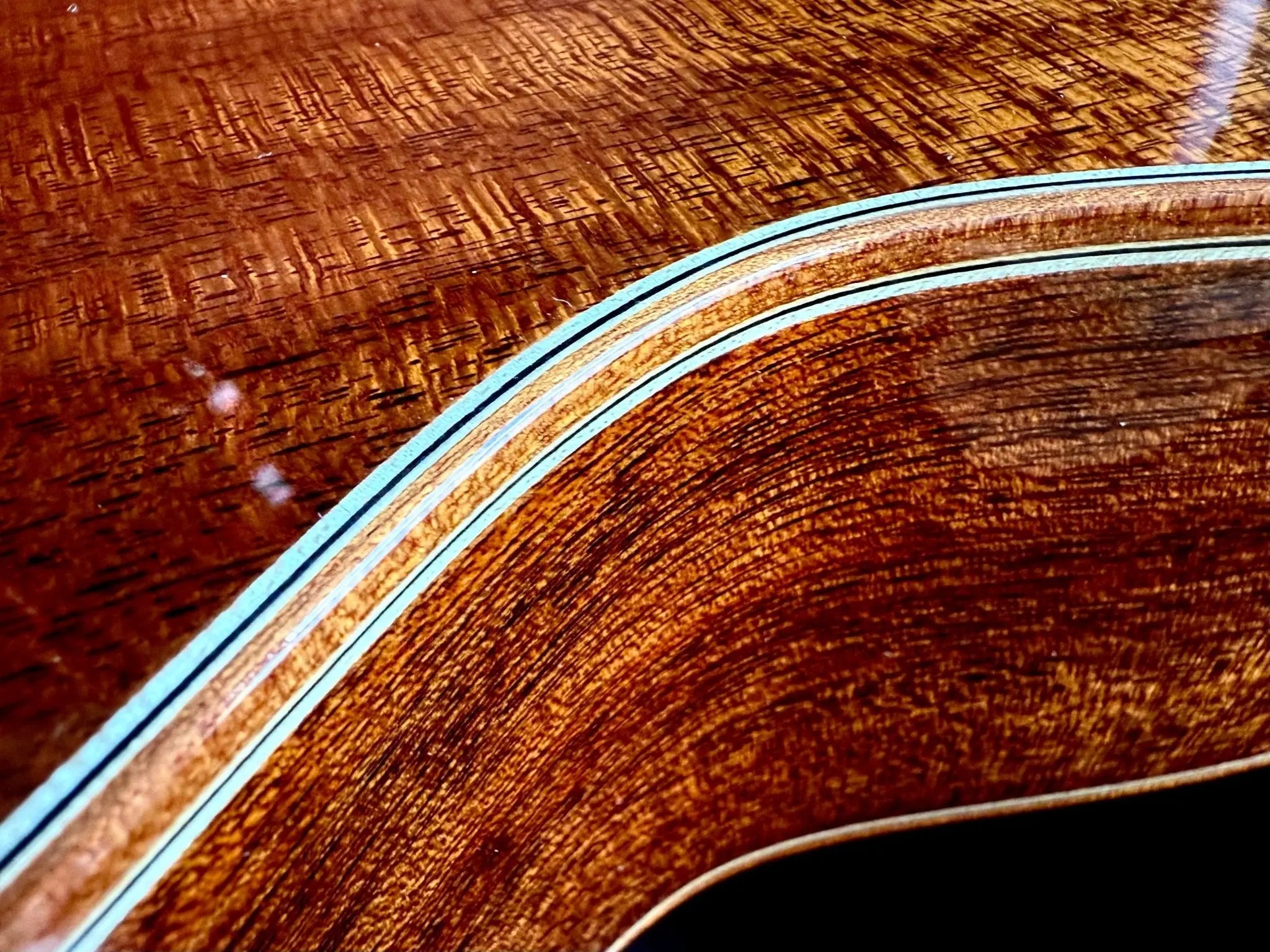 AUDEN MAHOGANY SERIES – EMILY ROSE FULL BODY - Richards Guitars Of Stratford Upon Avon