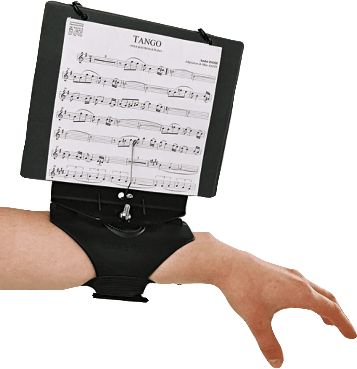 DEG FLUTIST FRIEND MARCHING LYRE - Richards Guitars Of Stratford Upon Avon