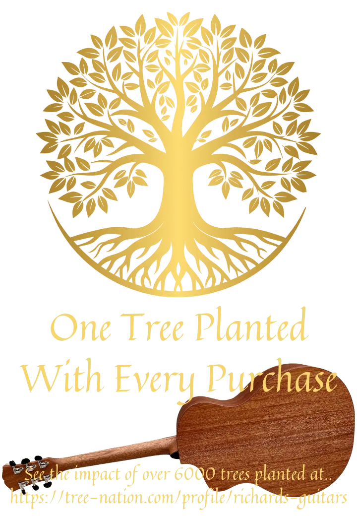 Dowina Mahogany GAC - Richards Guitars Of Stratford Upon Avon