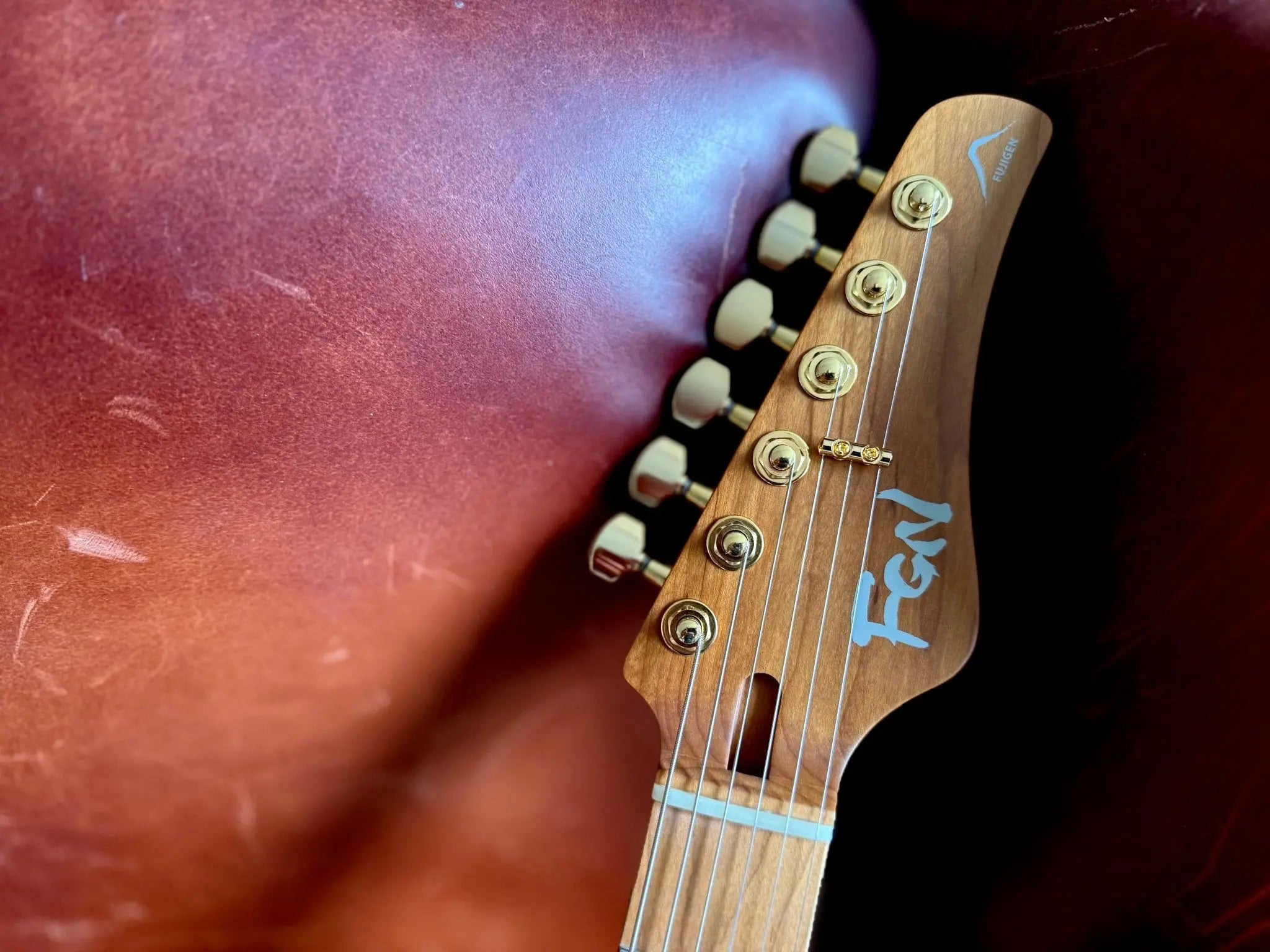 FGN Guitars Expert Iliad HCB Hojicha Burst - Richards Guitars Of Stratford Upon Avon