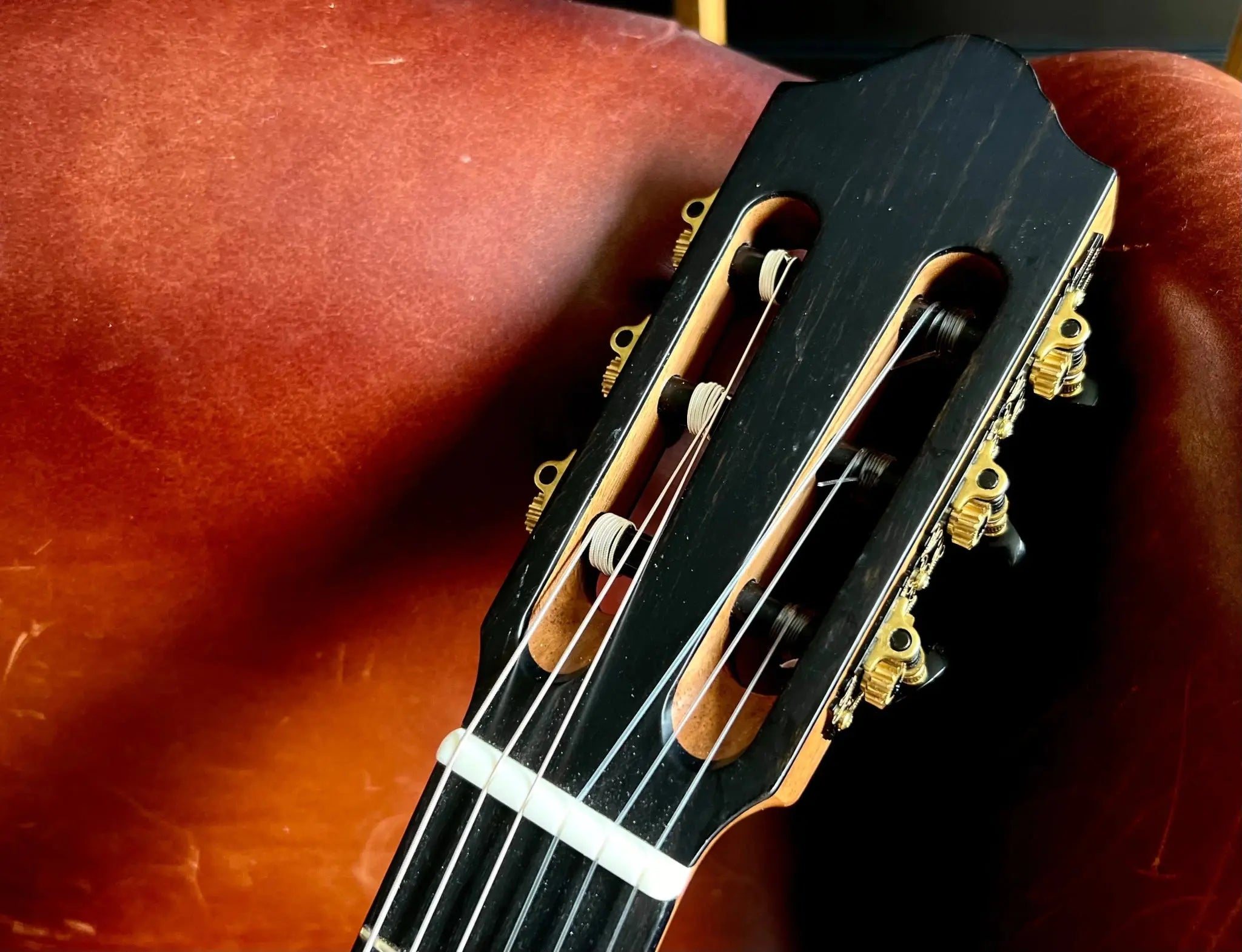 Kremona ROMIDA RD S All Solid Classic Guitar, Solid Spruce, Solid Indian Rosewood - Richards Guitars Of Stratford Upon Avon