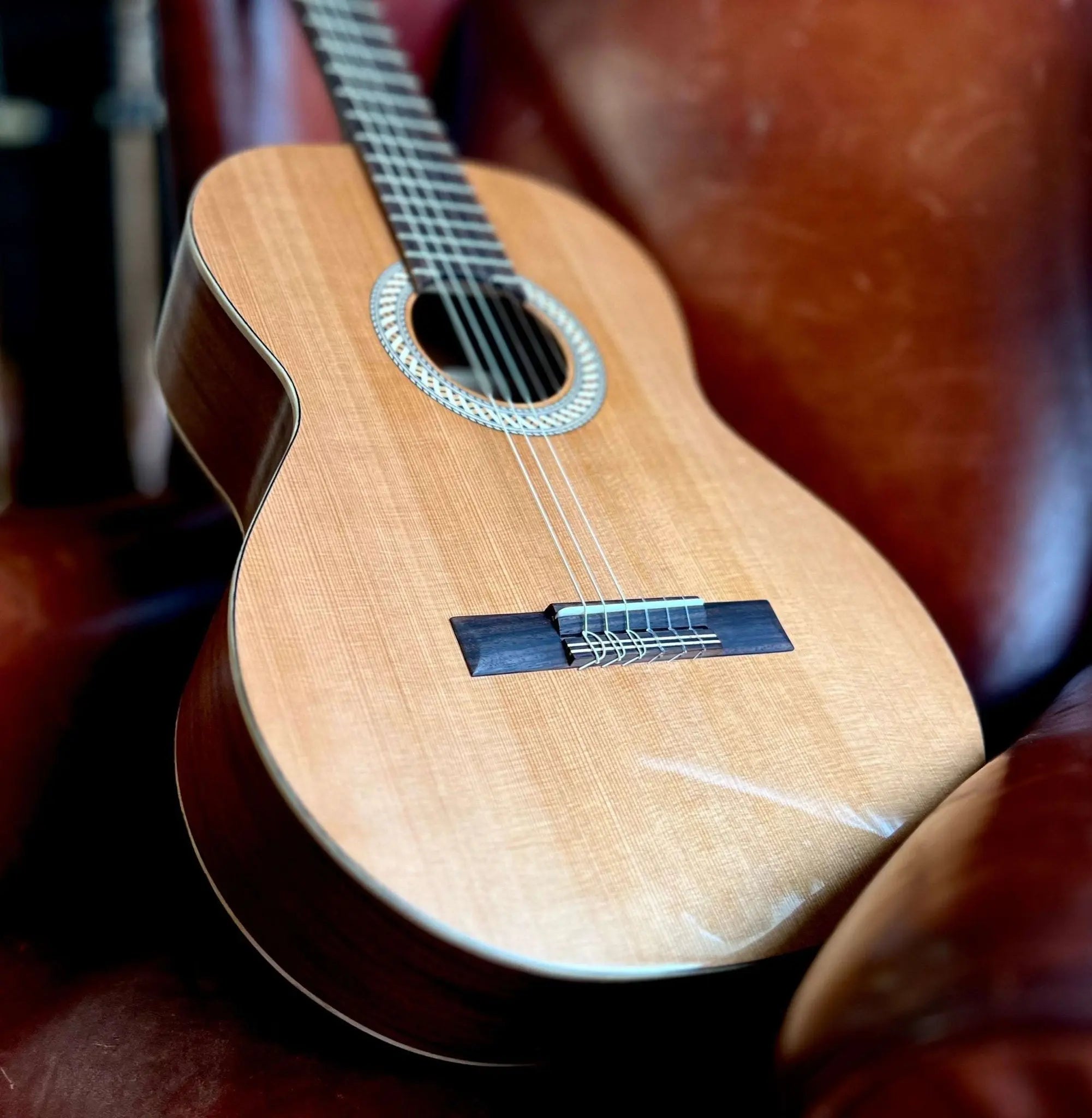Kremona SOFIA SC Solid Red Cedar, Solid Sapelli - Richards Guitars Of Stratford Upon Avon