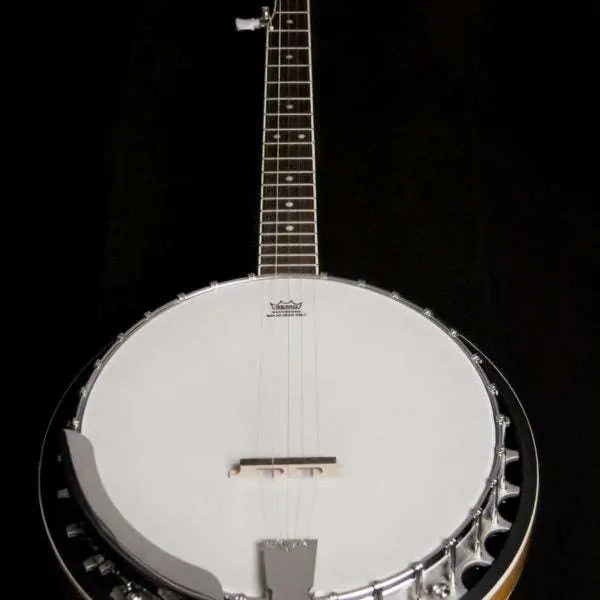 Washburn B9 Banjo Banjo - Richards Guitars Of Stratford Upon Avon