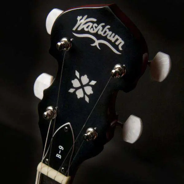 Washburn B9 Banjo Banjo - Richards Guitars Of Stratford Upon Avon
