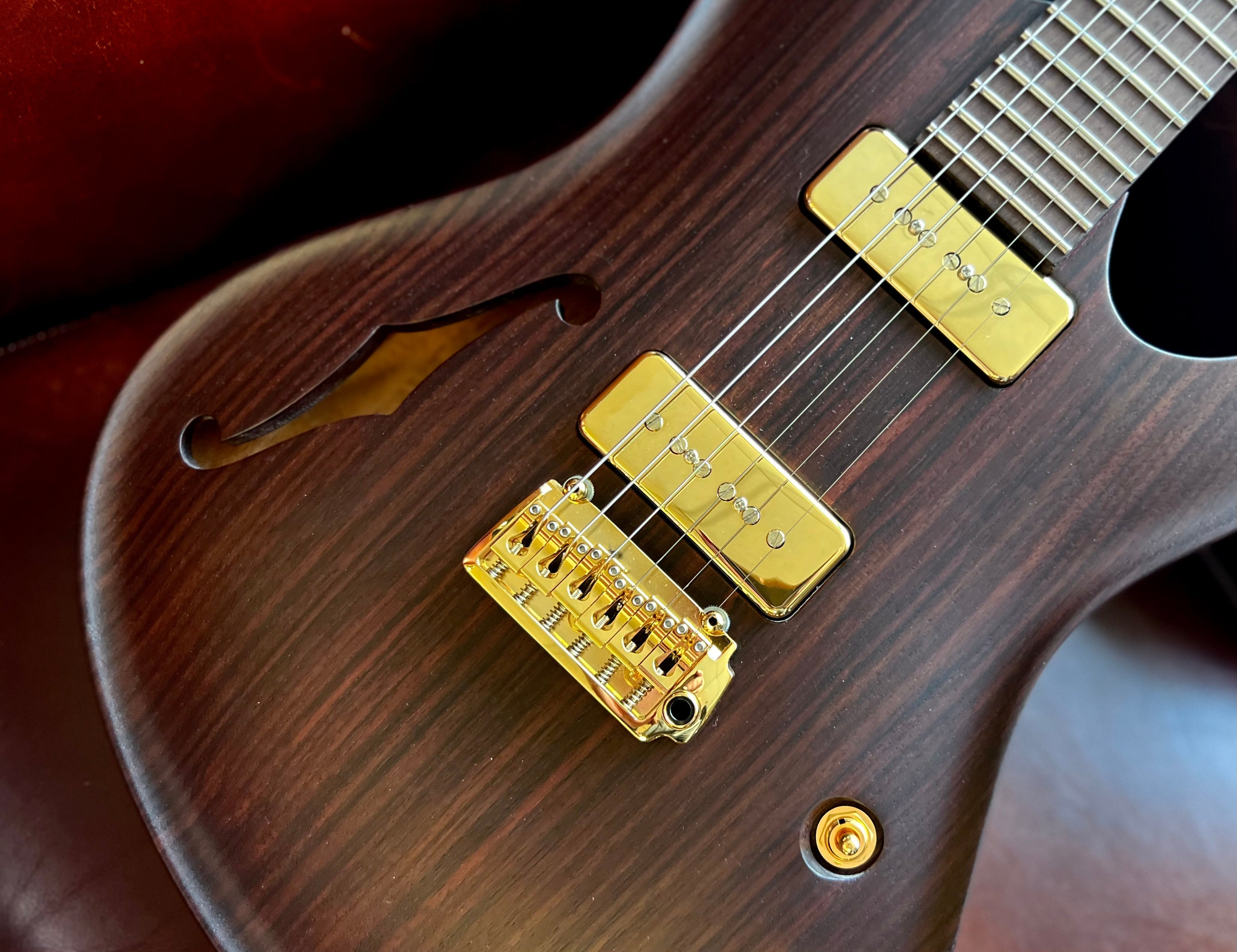 Valenti Nebula Semi Hollow All Rosewood, Guitarra Eléctrica en venta en Richards Guitars.