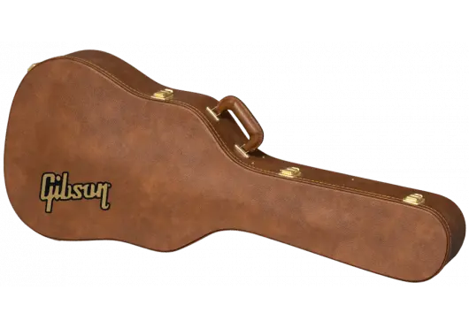 AGA ASDNCASE - ORG - Richards Guitars Of Stratford Upon Avon