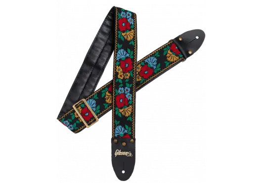 AGA ASVS - GAR - Richards Guitars Of Stratford Upon Avon