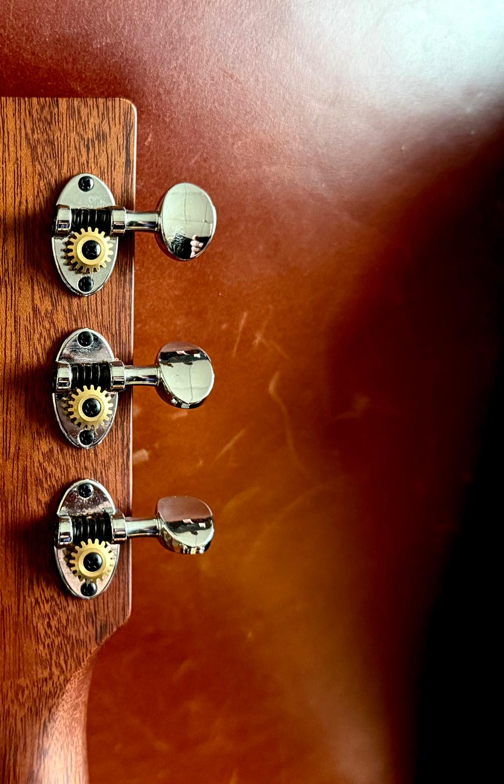 Auden Mahogany Series Julia Short Scale Electro Acoustic Guitar w' £225 Custom Pro Setup & Back Up Service Included - Richards Guitars Of Stratford Upon Avon