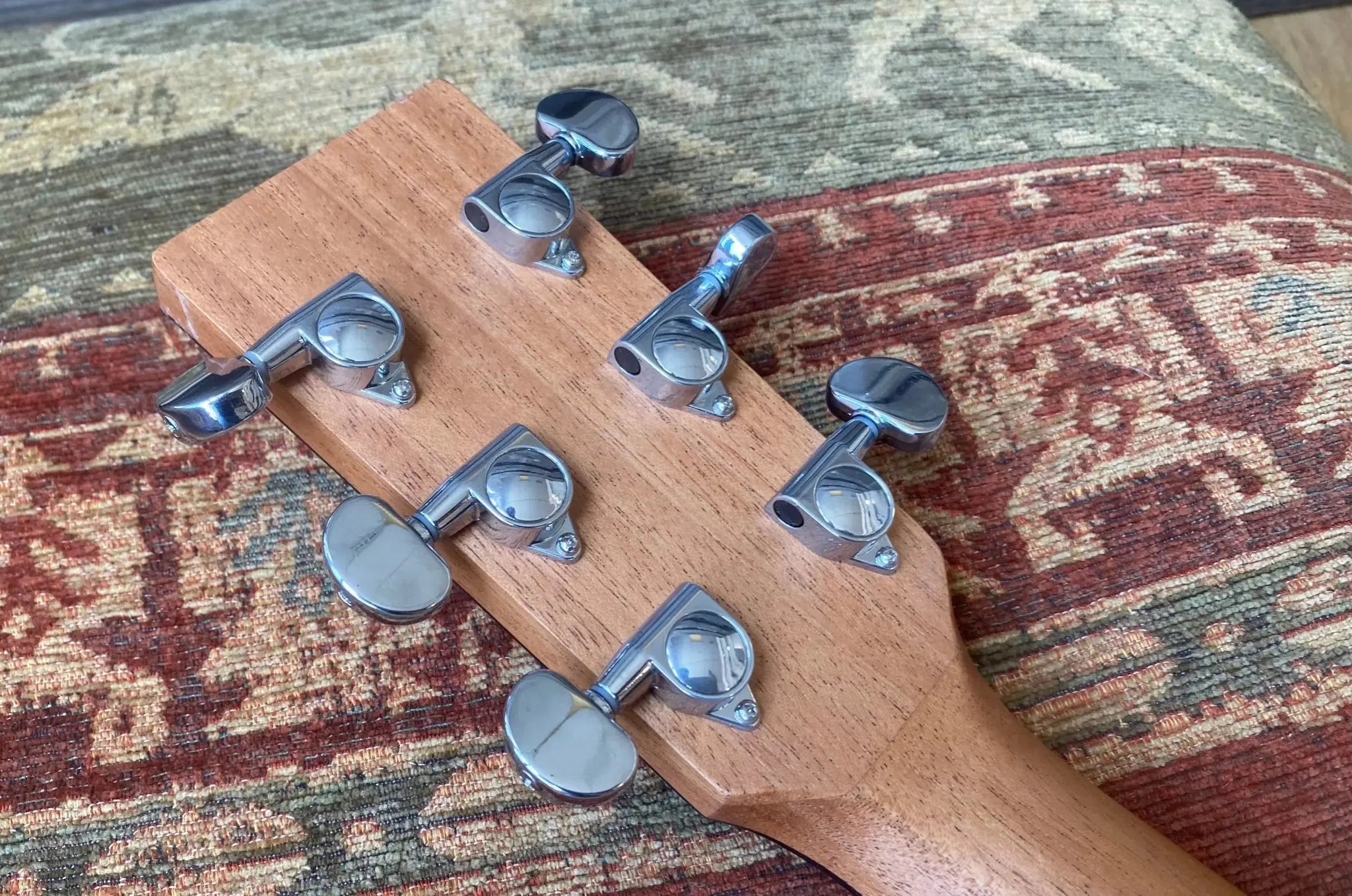 Auden Neo 45 Chester Cedar/Rosewood Full body. - Richards Guitars Of Stratford Upon Avon