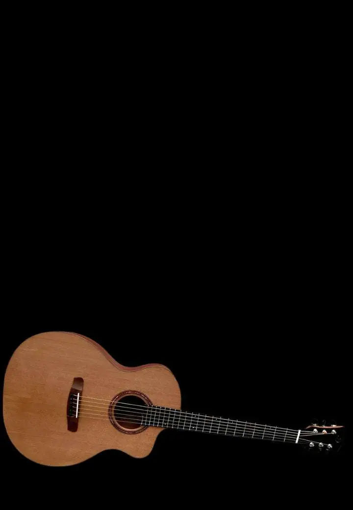 Dowina Mahogany GAC - Richards Guitars Of Stratford Upon Avon