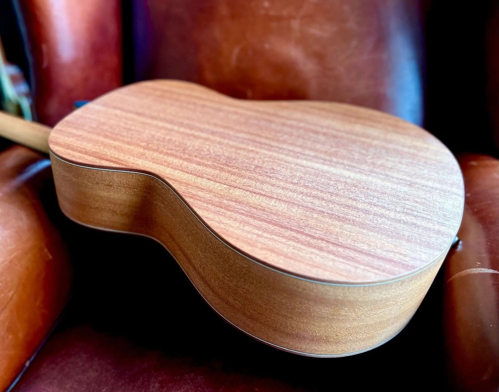 Dowina Mahogany OMG - H Cedar. OM Body Nylon Hybrid Acoustic Guitar - Richards Guitars Of Stratford Upon Avon