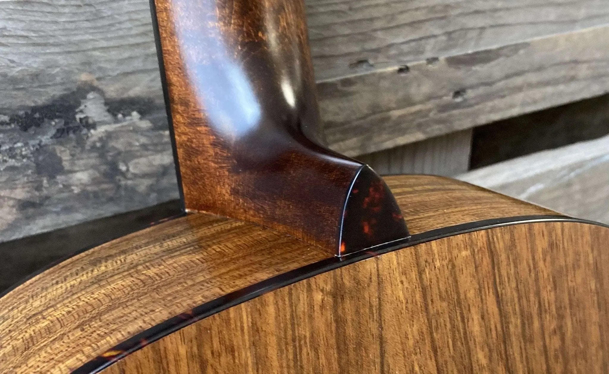 Eastman ACTG - 2E Travel Guitar (Price inc. Custom Pro Setup Package) - Richards Guitars Of Stratford Upon Avon