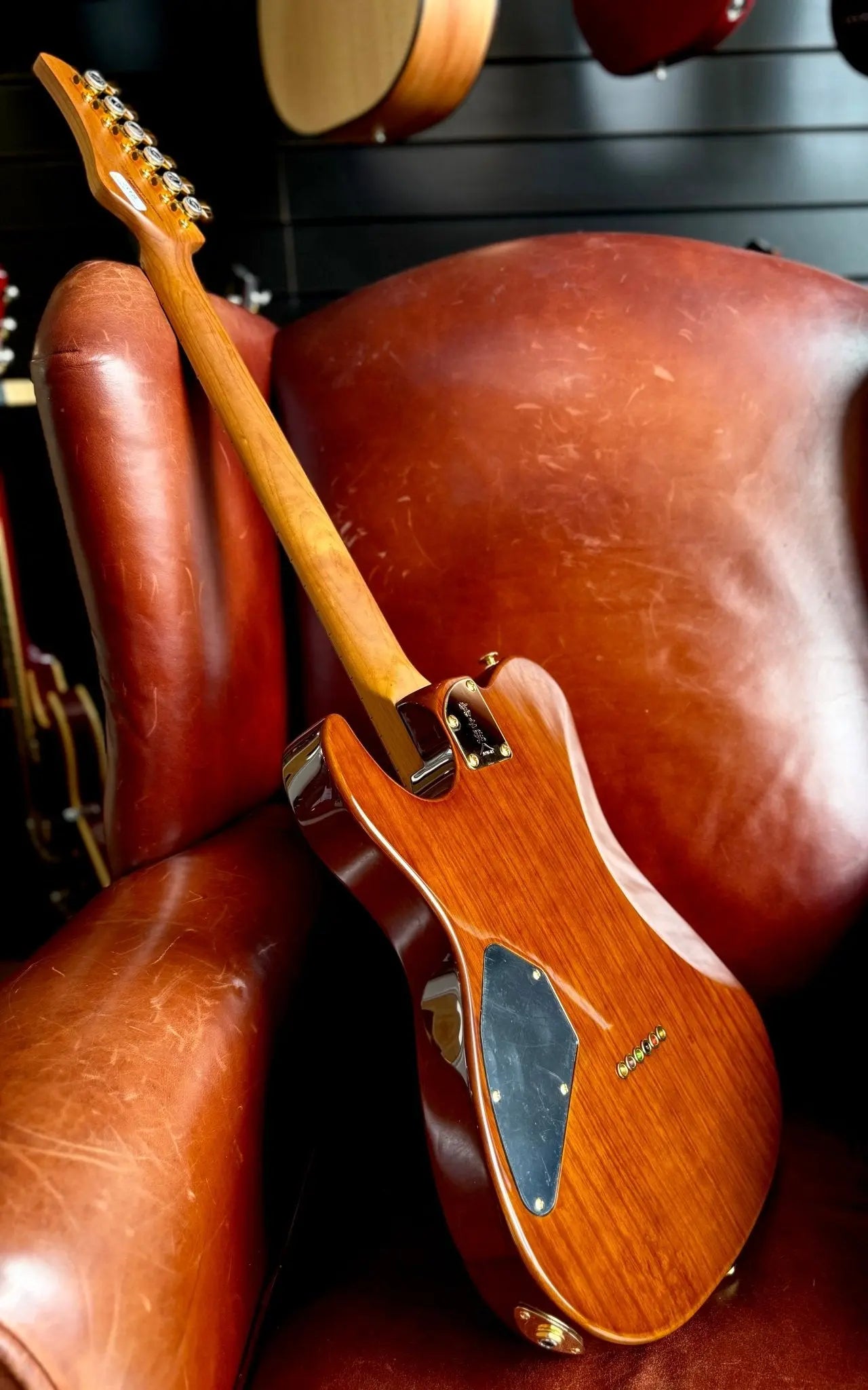 FGN Guitars Expert Iliad HCB Hojicha Burst - Richards Guitars Of Stratford Upon Avon