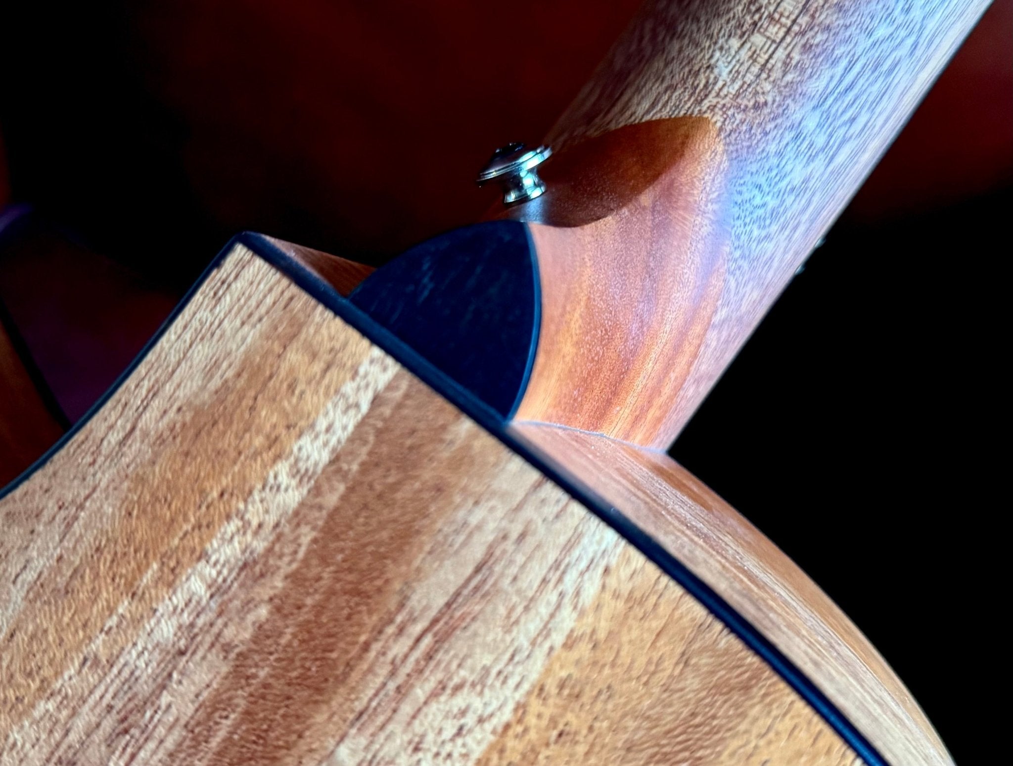 Furch Blue Gc - CM SPE Master's Choice Grand Auditorium (cutaway) Electro Acoustic Guitar (2025 CNR Active Upgrade Model) - Richards Guitars Of Stratford Upon Avon