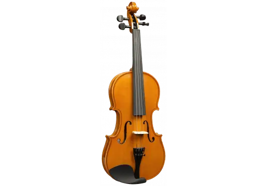 HERALD - QHE AS1116 - Richards Guitars Of Stratford Upon Avon