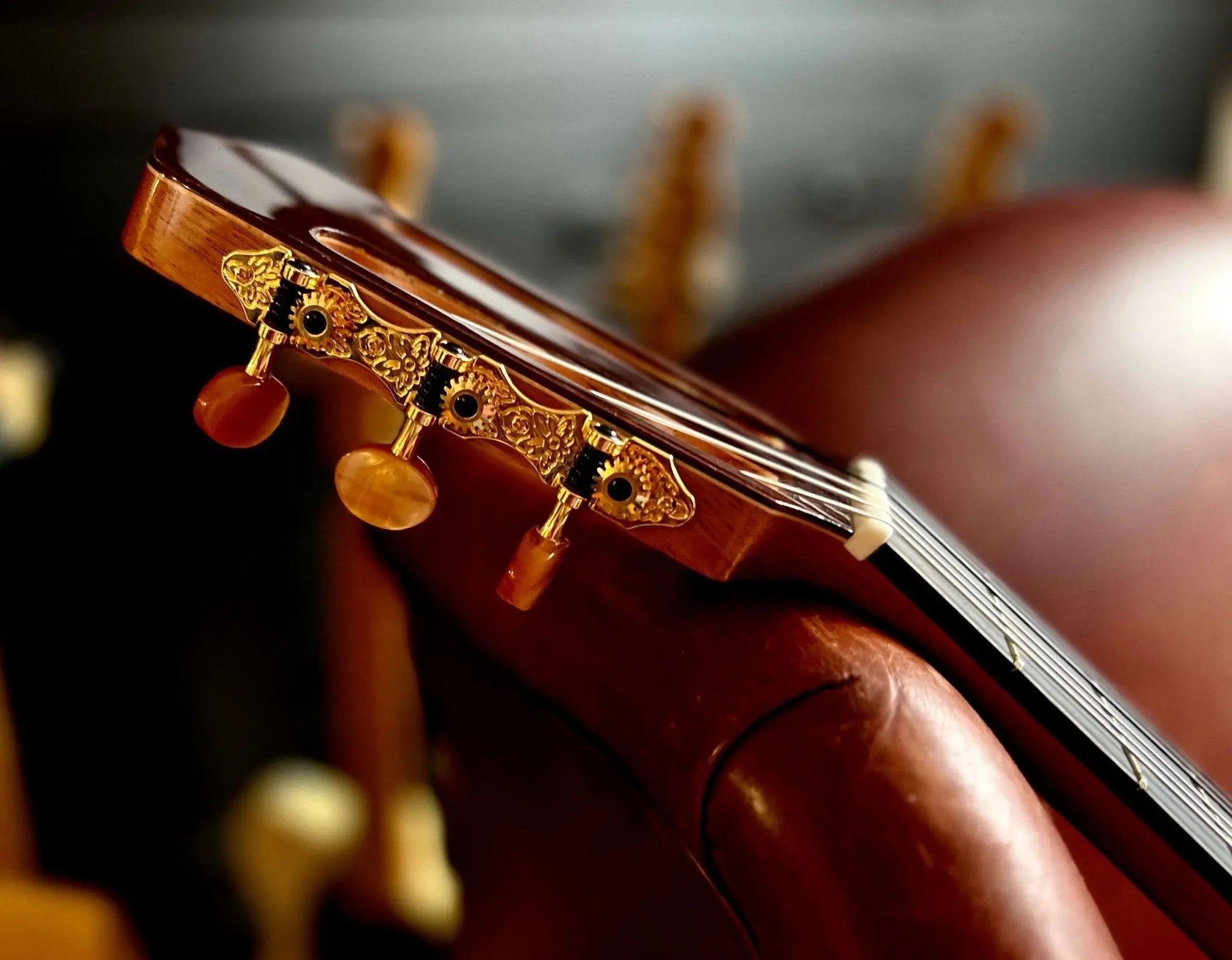 Kremona ROSA BLANCA RB, All Solid Flamenco Guitar. Stunning - Richards Guitars Of Stratford Upon Avon