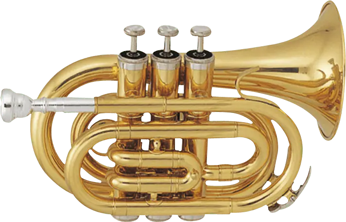 Pocket Trumpet - Bb - Richards Guitars Of Stratford Upon Avon