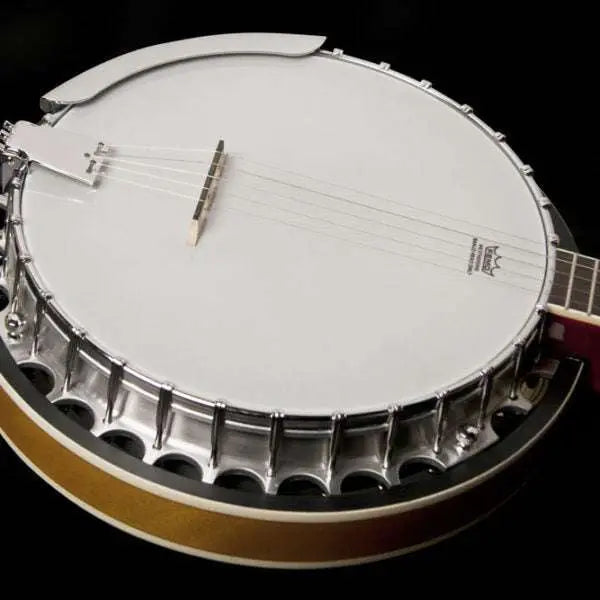 Washburn B9 Banjo Banjo - Richards Guitars Of Stratford Upon Avon