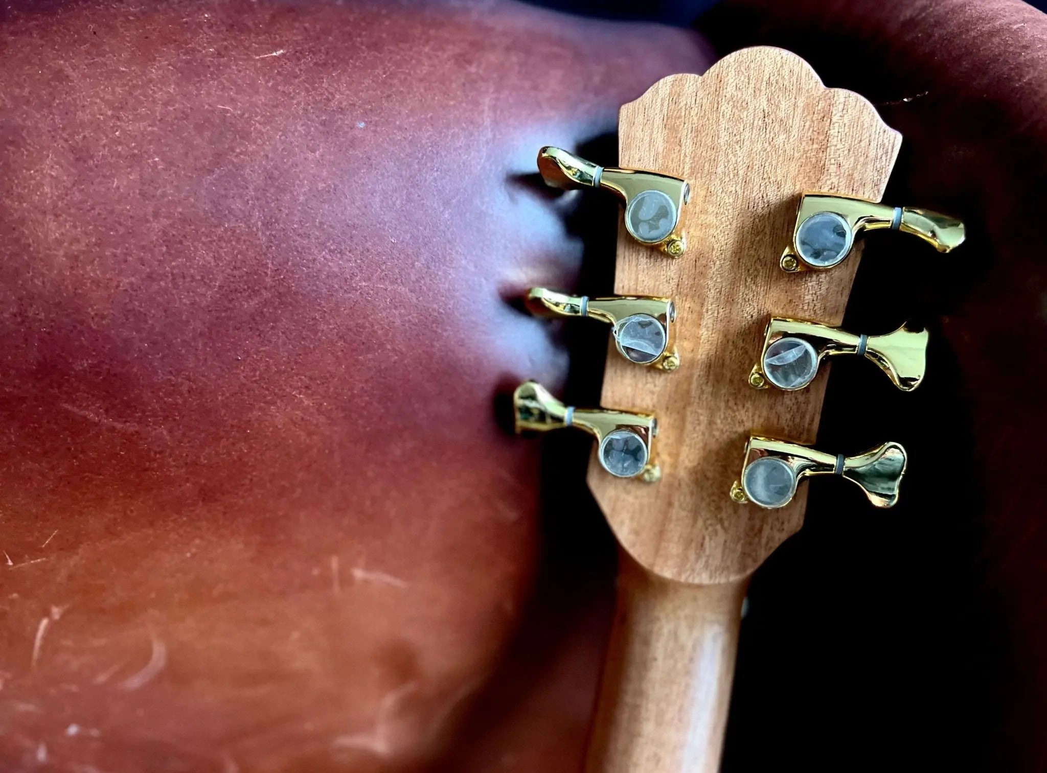 Washburn Bella Tono ALLURE SC56S - Natural Electro Acoustic Guitar - Richards Guitars Of Stratford Upon Avon