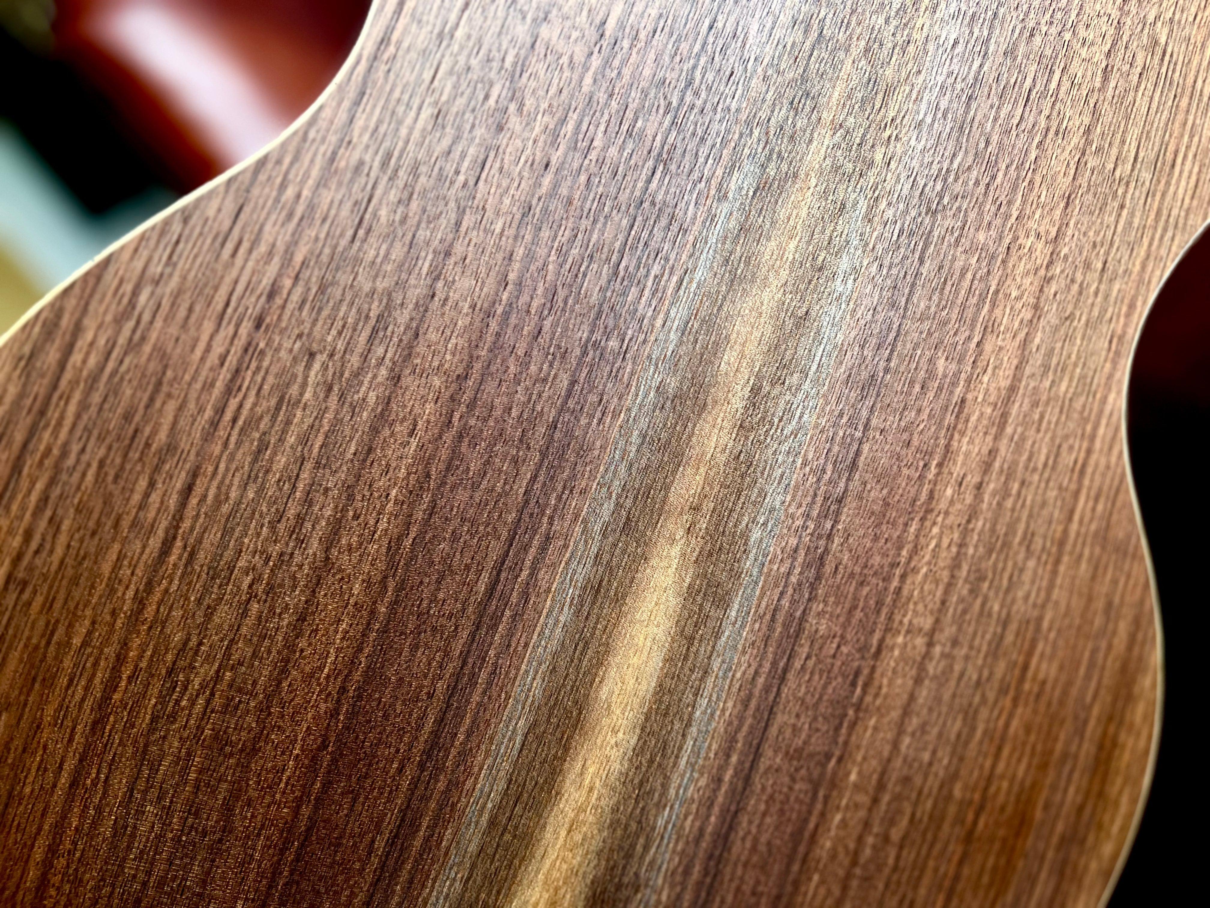 Dowina Walnut Tribute GAC, guitare acoustique en vente chez Richards Guitars.