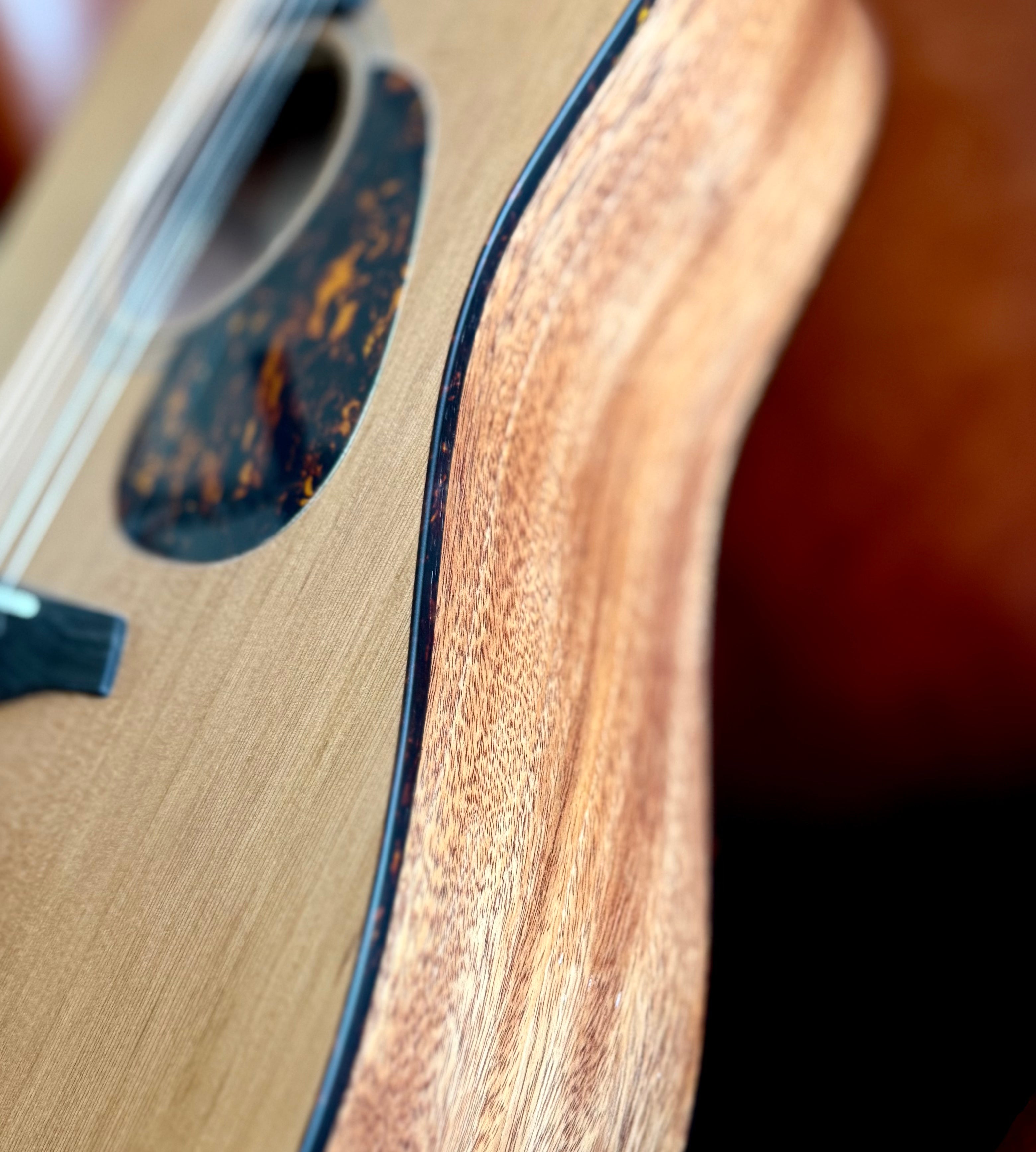 Furch Blue D CM 12 Acoustic Guitar (2025 CNR Active Upgrade Model), Acoustic Guitar for sale at Richards Guitars.