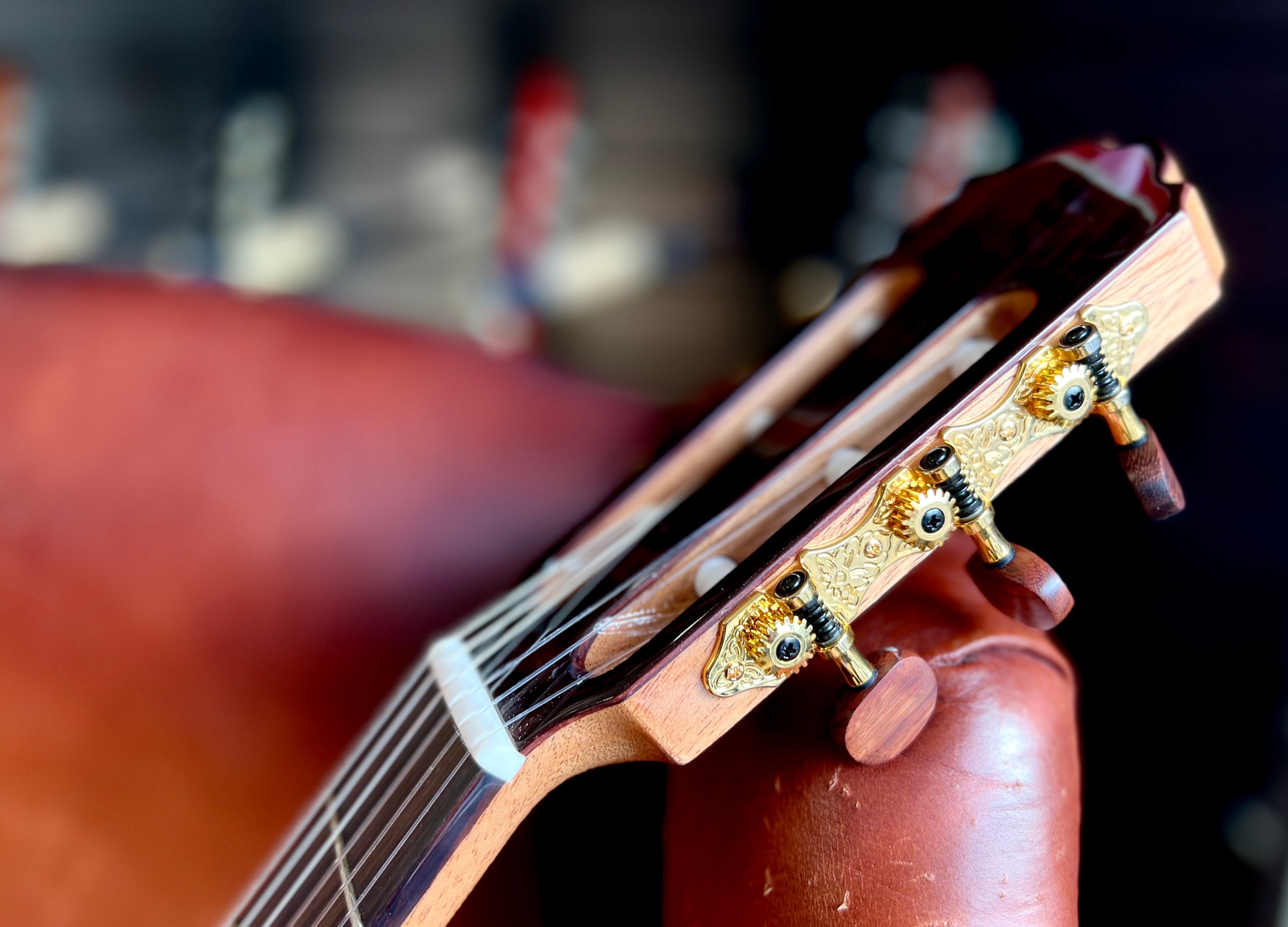 Kremona F65CW TLR Thinline Performance Electro Classical Guitar Hand Made In Europe, Electro Nylon Strung Guitar for sale at Richards Guitars.