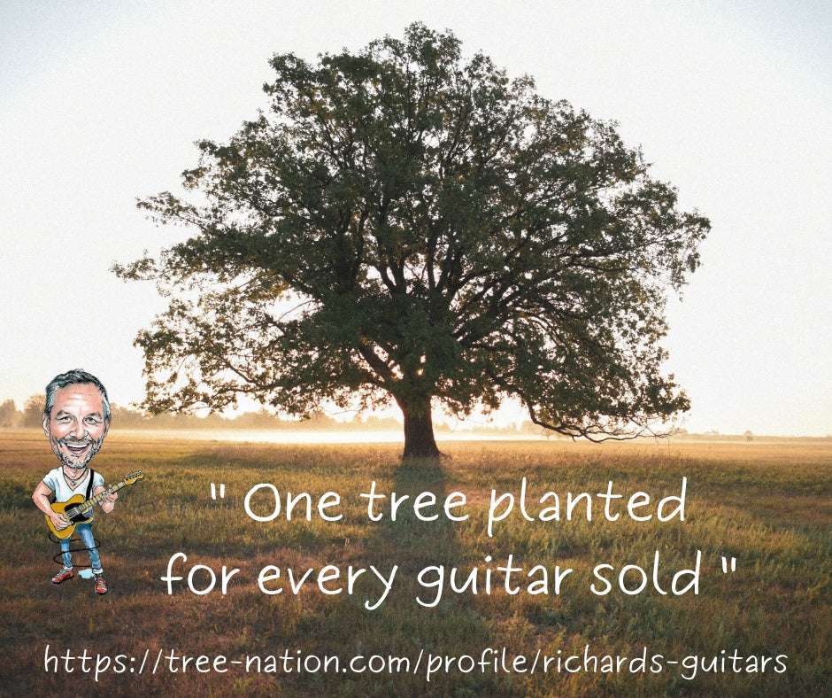 Auden Artist 45 Chester Cutaway Maple Left Handed. - Richards Guitars Of Stratford Upon Avon