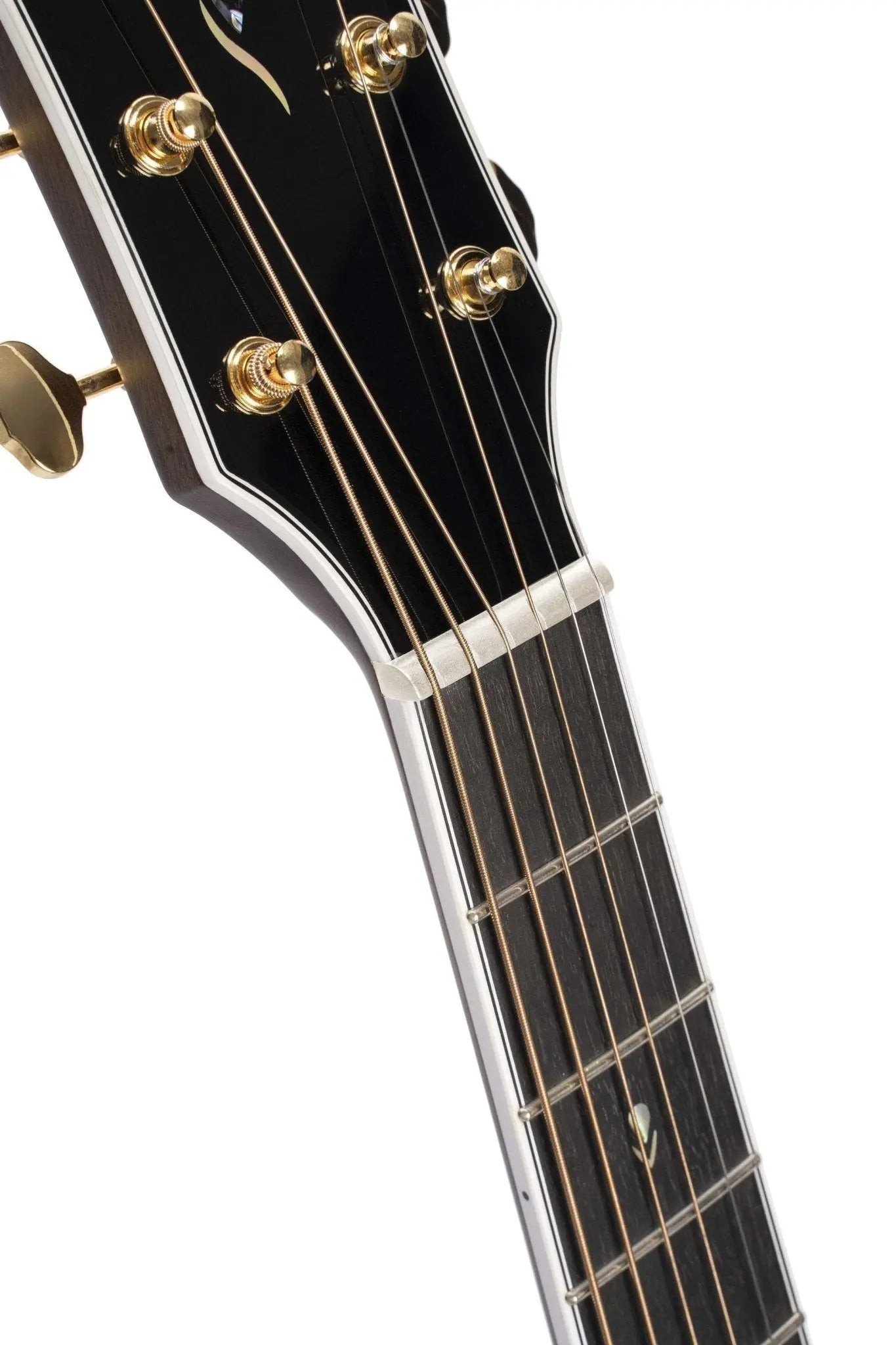 Cort Gold OC8 Natural - Richards Guitars Of Stratford Upon Avon