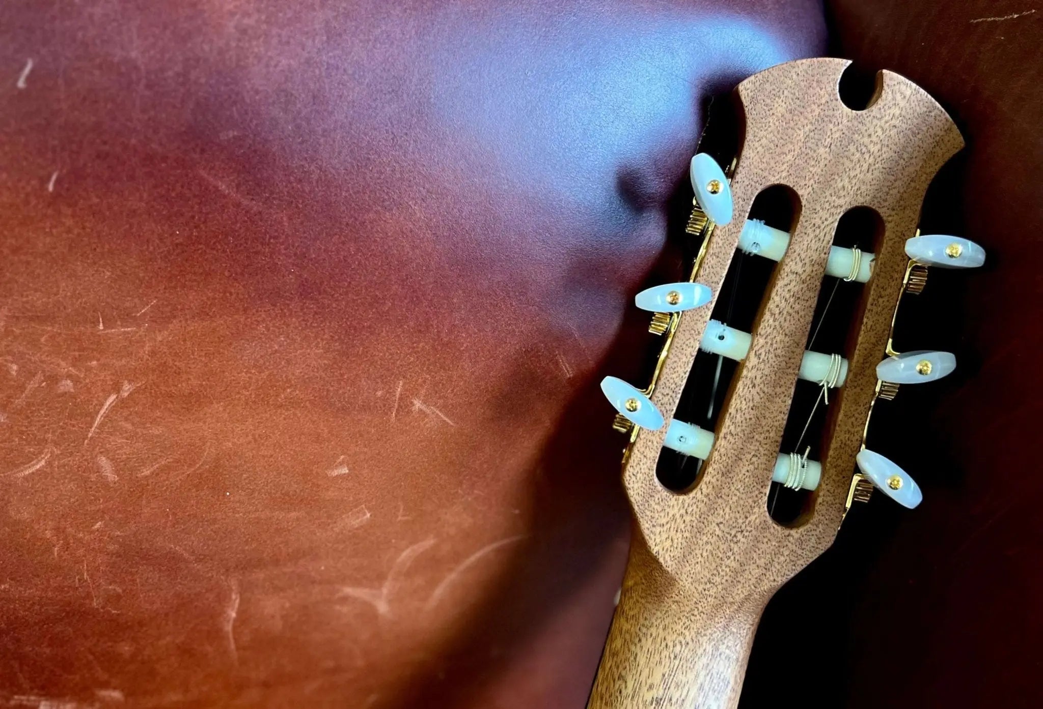 Dowina Rosewood (Ceres) HC Hybrid Nylon String Cutaway - Richards Guitars Of Stratford Upon Avon