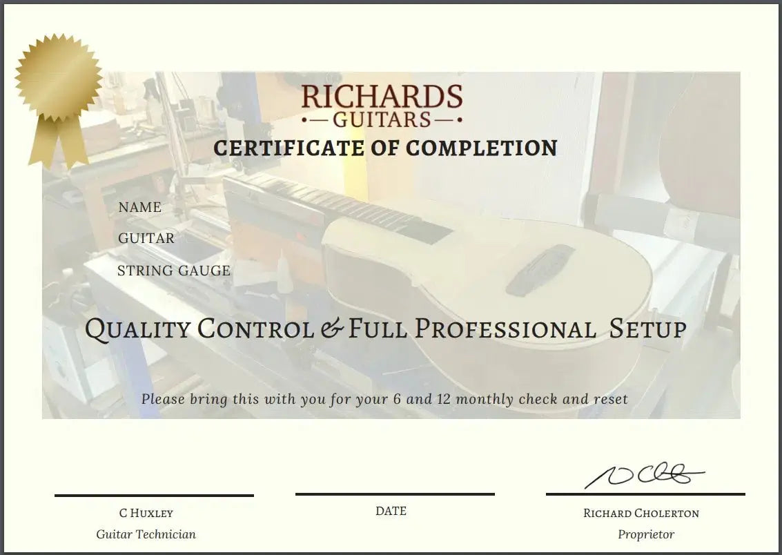 Eastman DM2/v (Price inc. Custom Pro Setup Package) - Richards Guitars Of Stratford Upon Avon