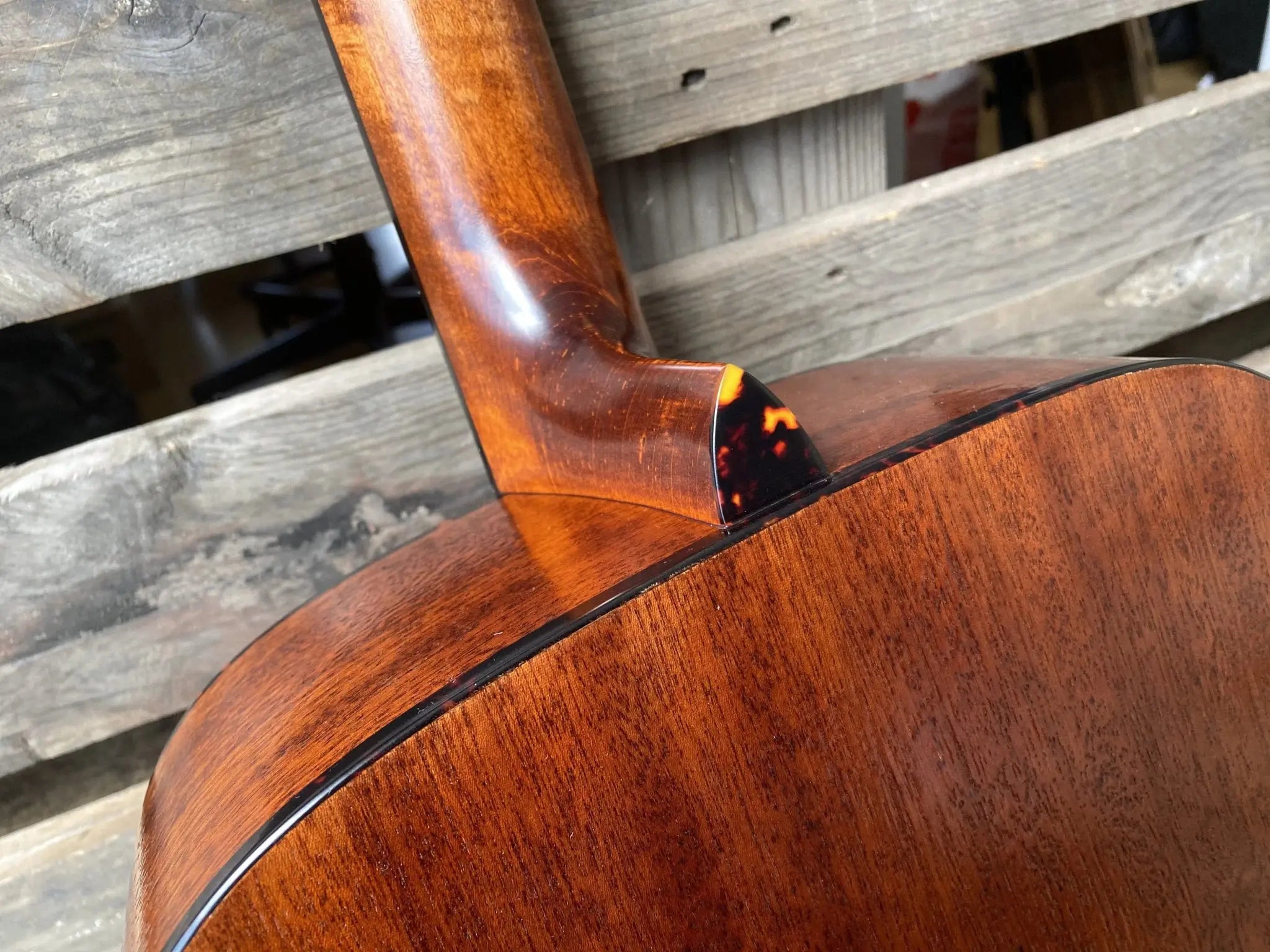 Eastman E1D Classic (Price inc. Custom Pro Setup Package) - Richards Guitars Of Stratford Upon Avon