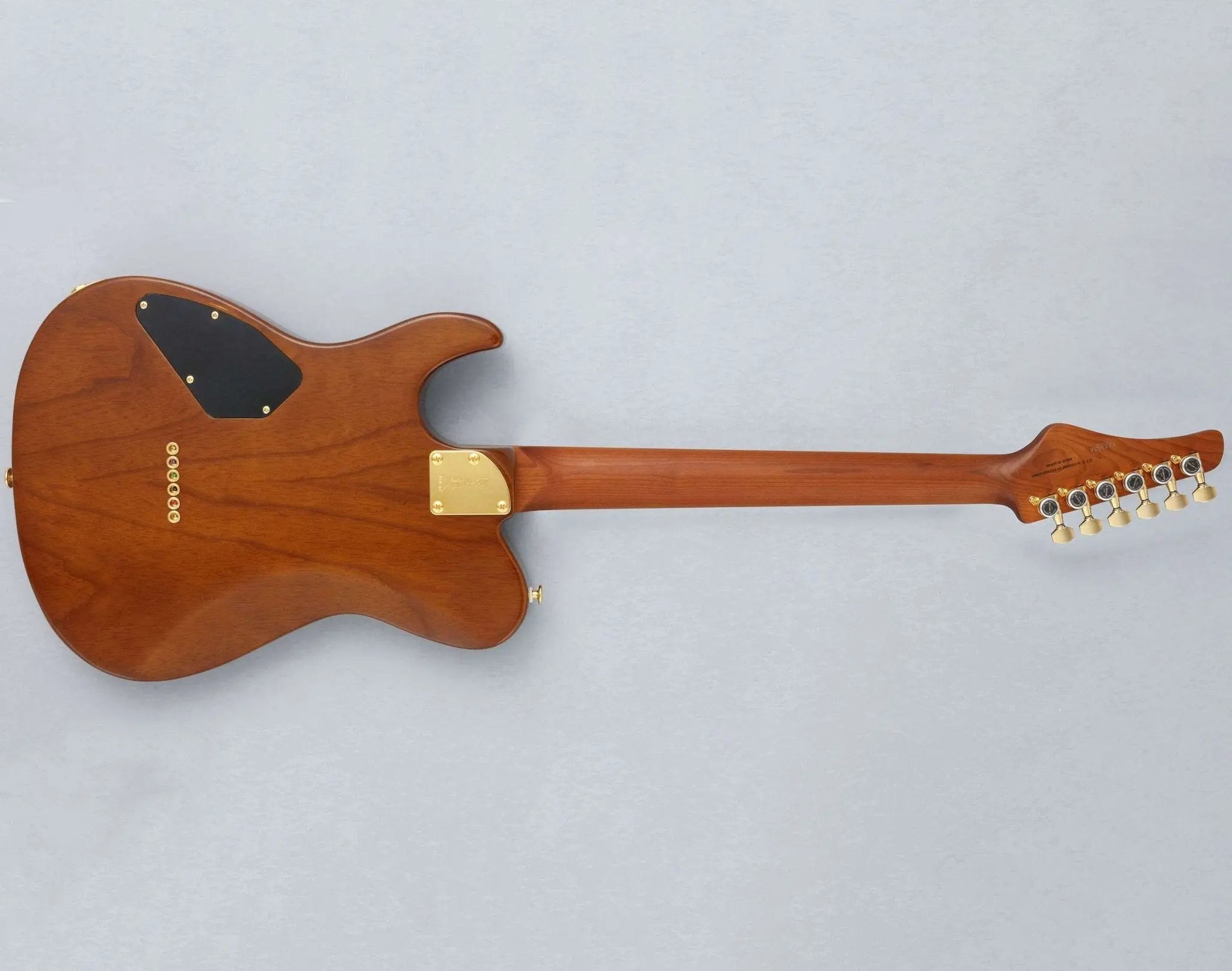 FGN Guitars Expert Iliad HCB Hojicha Burst - Richards Guitars Of Stratford Upon Avon