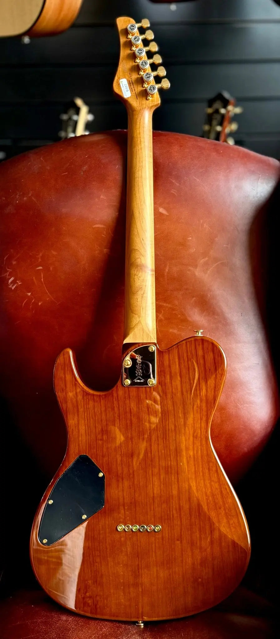 FGN Guitars Expert Iliad HCB Hojicha Burst - Richards Guitars Of Stratford Upon Avon