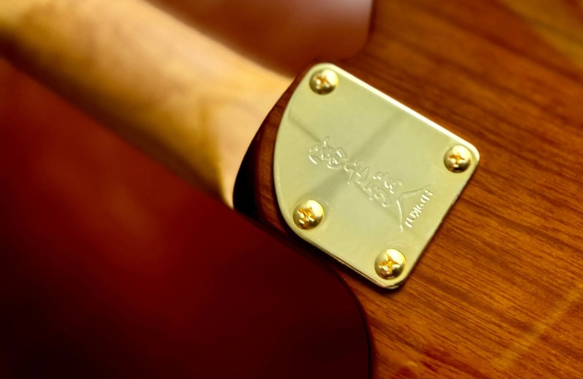 FGN Guitars Expert Iliad HCB Hojicha Burst - Richards Guitars Of Stratford Upon Avon