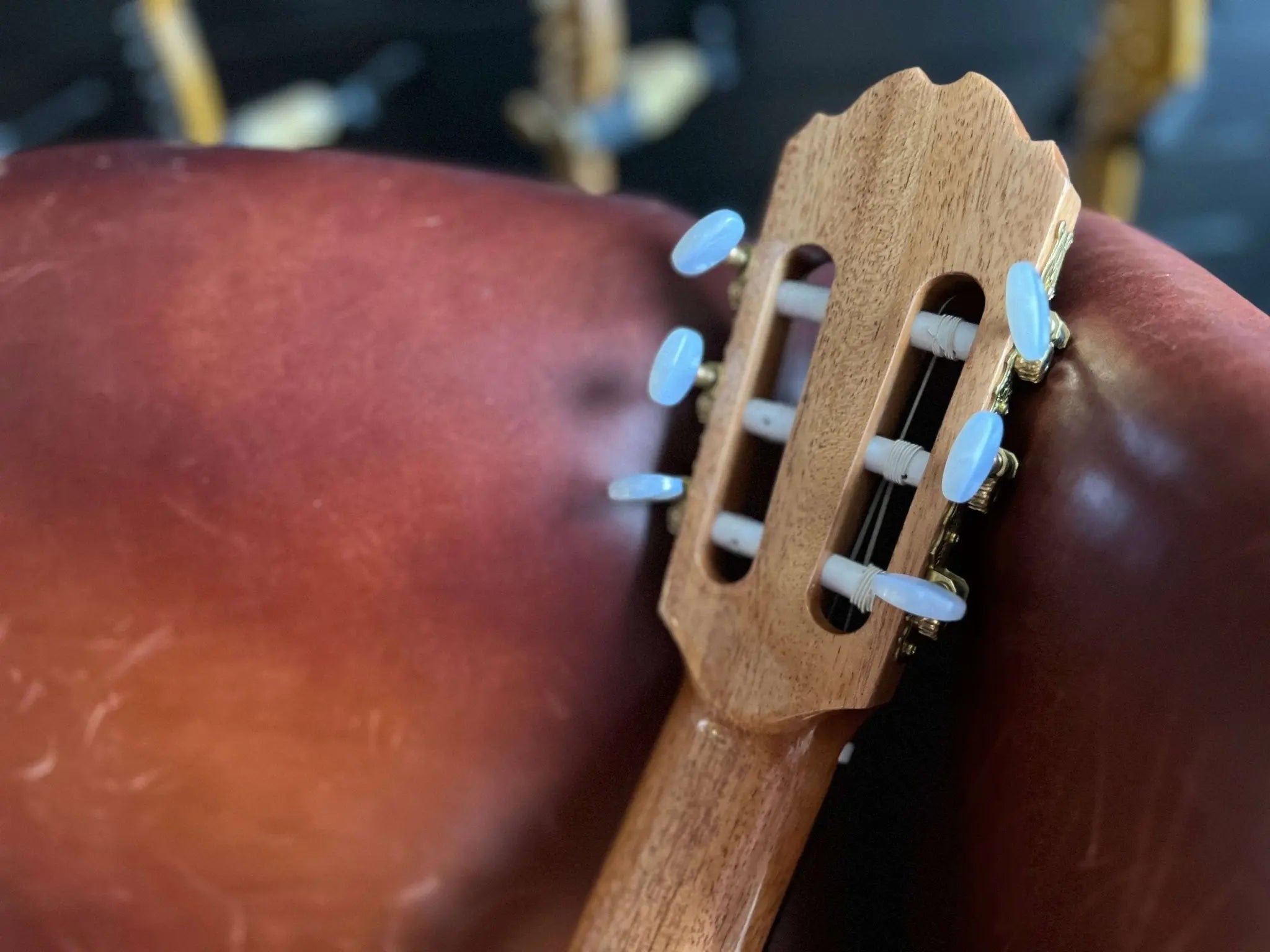 Kremona F65S, Solid Spruce, Indian Rosewood Veneer Hand Made Nylon Strung Guitar - Richards Guitars Of Stratford Upon Avon