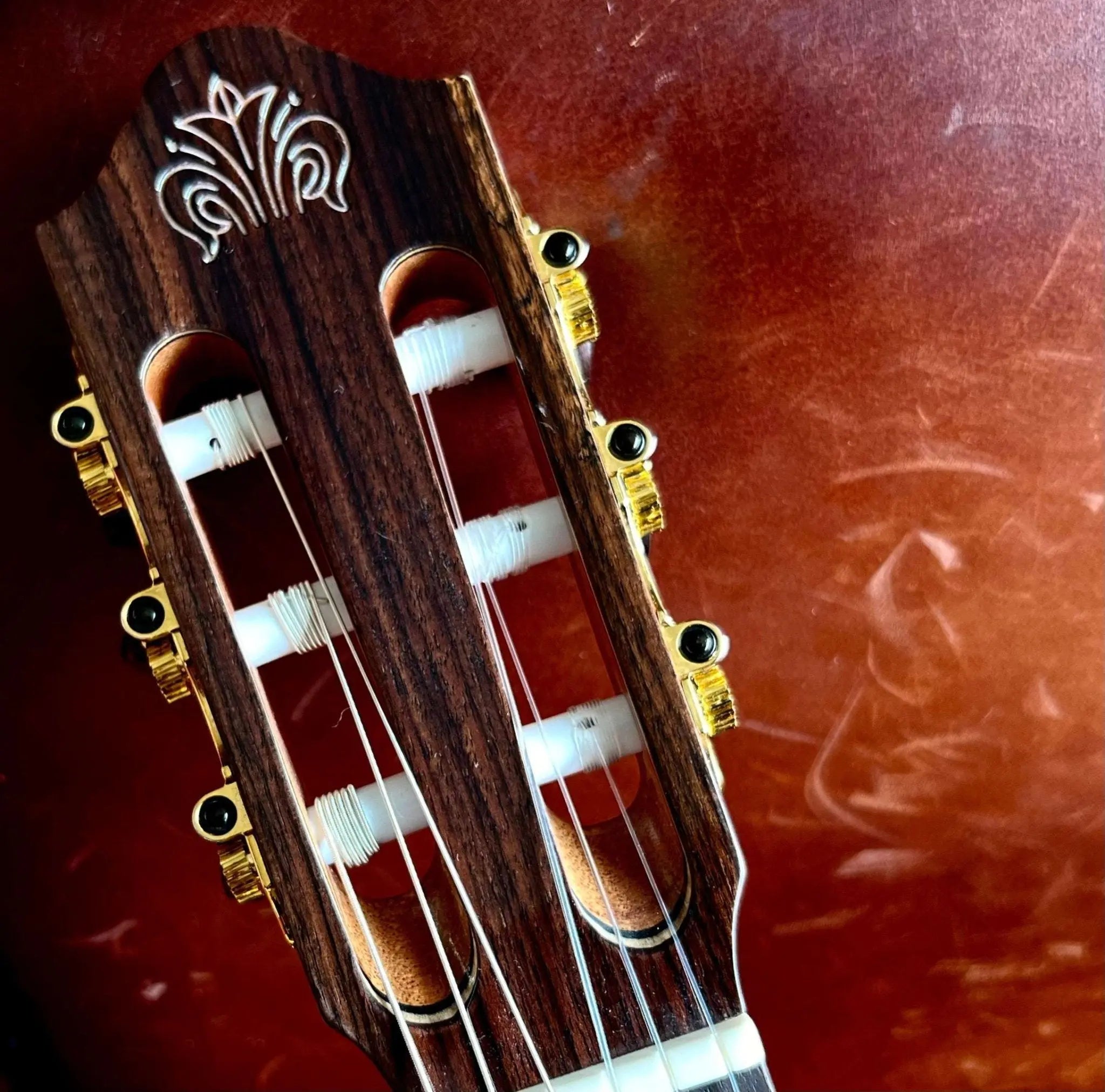 Kremona FIESTA FC, Solid Red Cedar, Solid Indian Rosewood - Richards Guitars Of Stratford Upon Avon