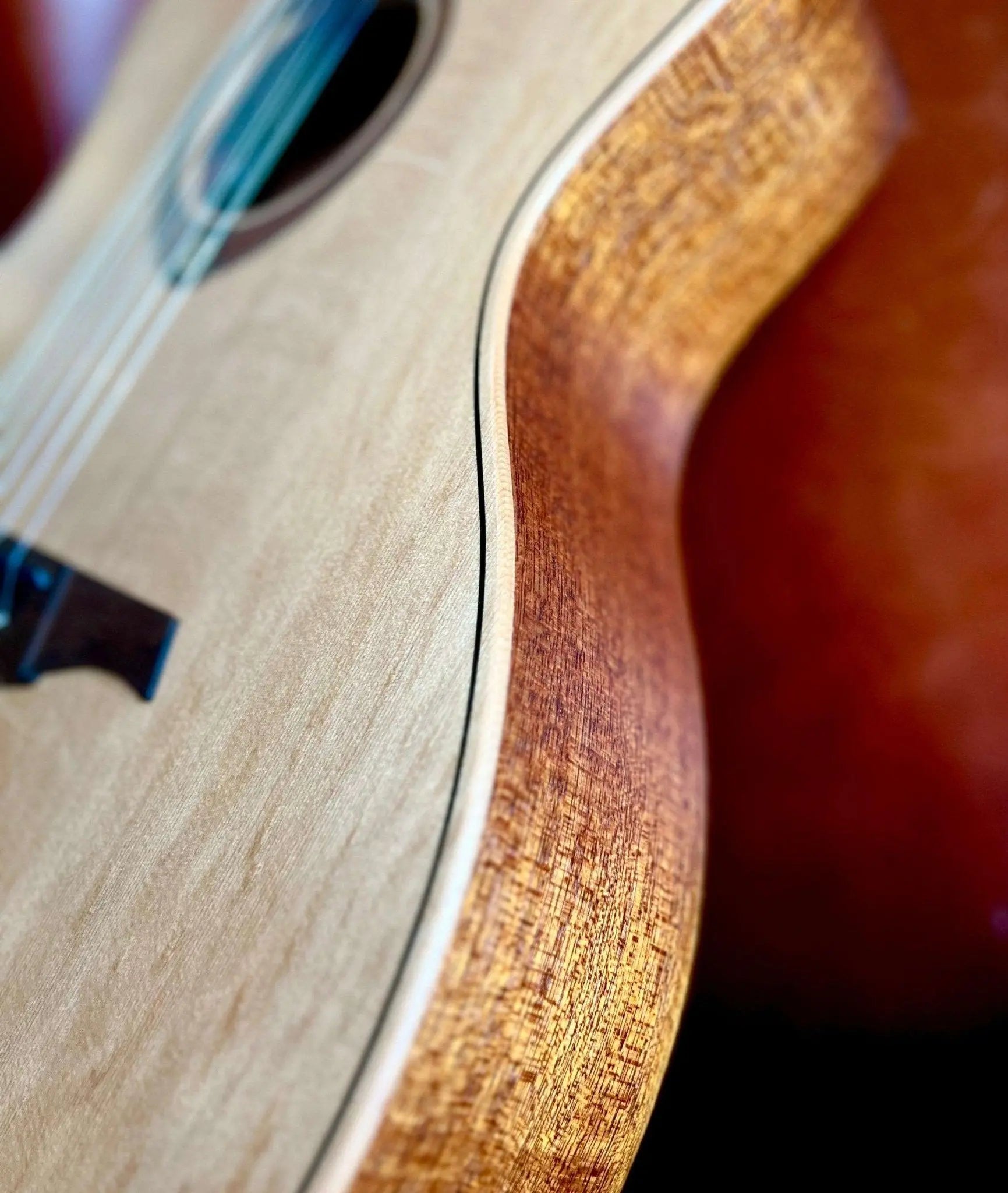 LAG TRAMONTANE TN170ASCE COUNTRY AUDITORIUM SLIM CUTAWAY Nylon Electro - Richards Guitars Of Stratford Upon Avon