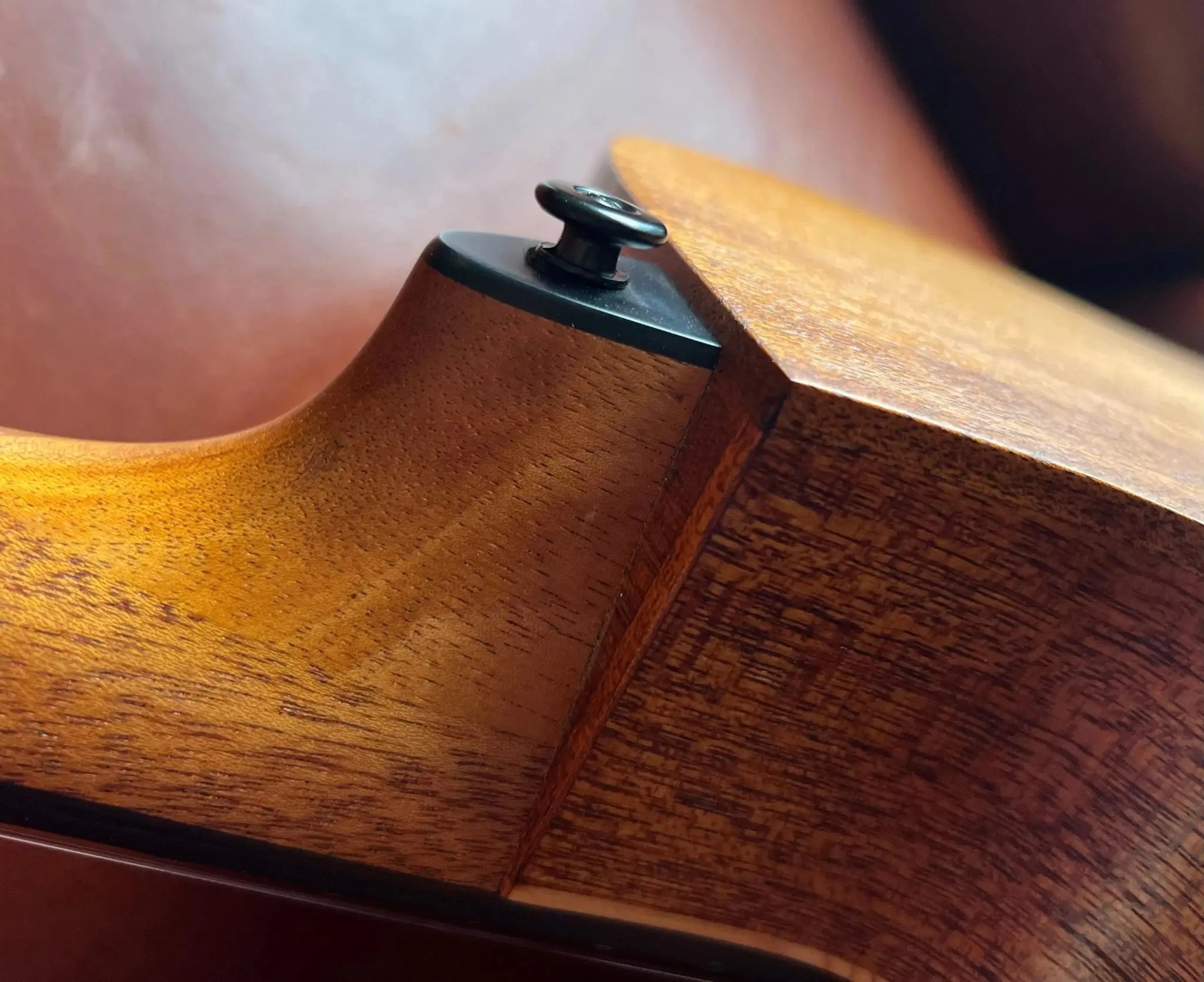 LAG TRAMONTANE TN170ASCE COUNTRY AUDITORIUM SLIM CUTAWAY Nylon Electro - Richards Guitars Of Stratford Upon Avon