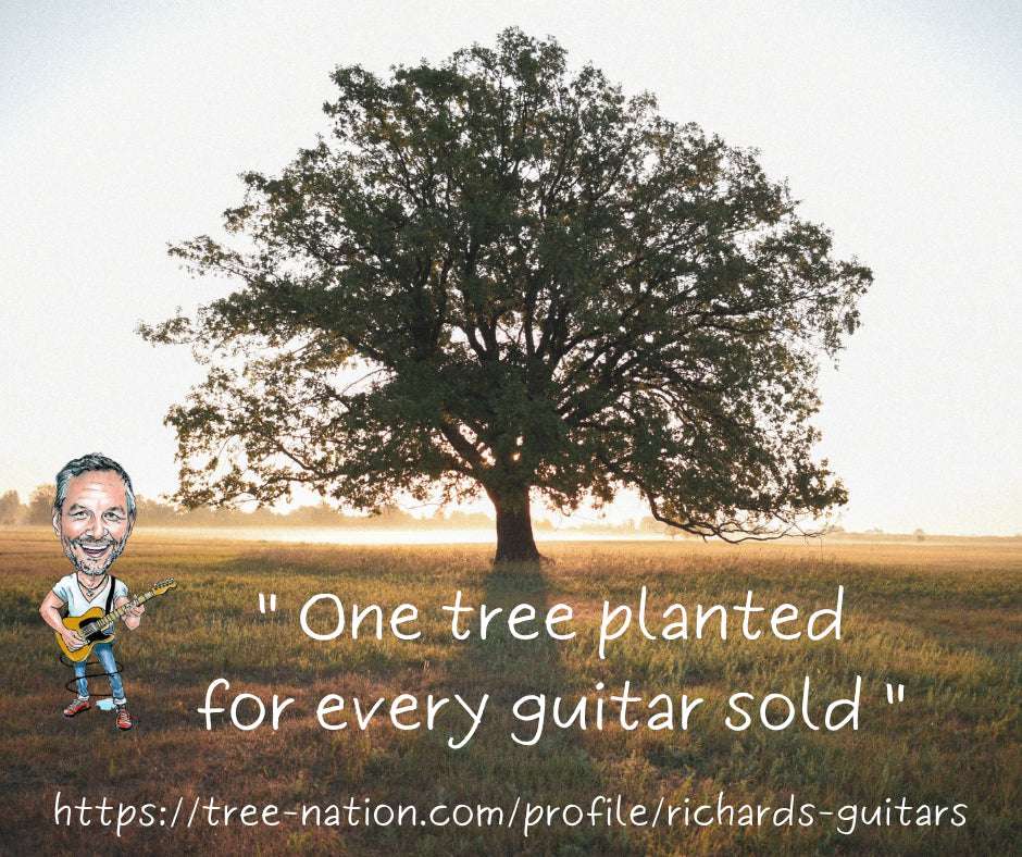 VINTAGE V6M NAT REISSUED ELECTRIC GUITAR ~ NATURAL ASH - Richards Guitars Of Stratford Upon Avon