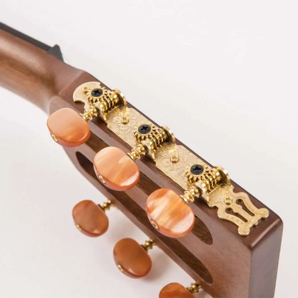 Vintage* VE880PB Paul Brett Signature 6 - String 880 Electro - Acoustic ~ Natural - Richards Guitars Of Stratford Upon Avon