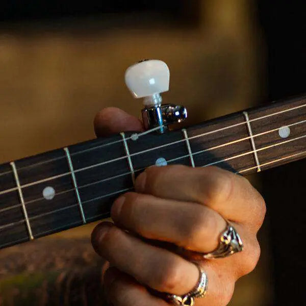 Washburn B8 - PACK Banjo Banjo - Richards Guitars Of Stratford Upon Avon