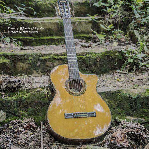 Washburn C64SCE - Classical - Natural Nylon Strung Guitar - Richards Guitars Of Stratford Upon Avon