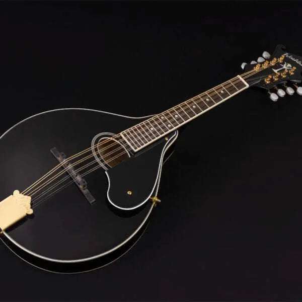 Washburn M1SD - Mandolin - Black Mandolin - Richards Guitars Of Stratford Upon Avon