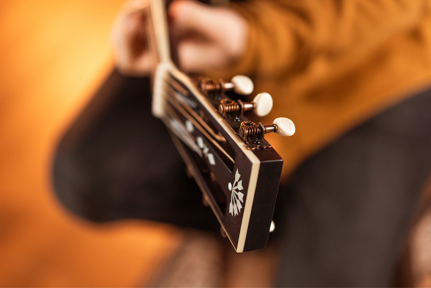 Washburn R310 Victorian Parlor - Richards Guitars Of Stratford Upon Avon